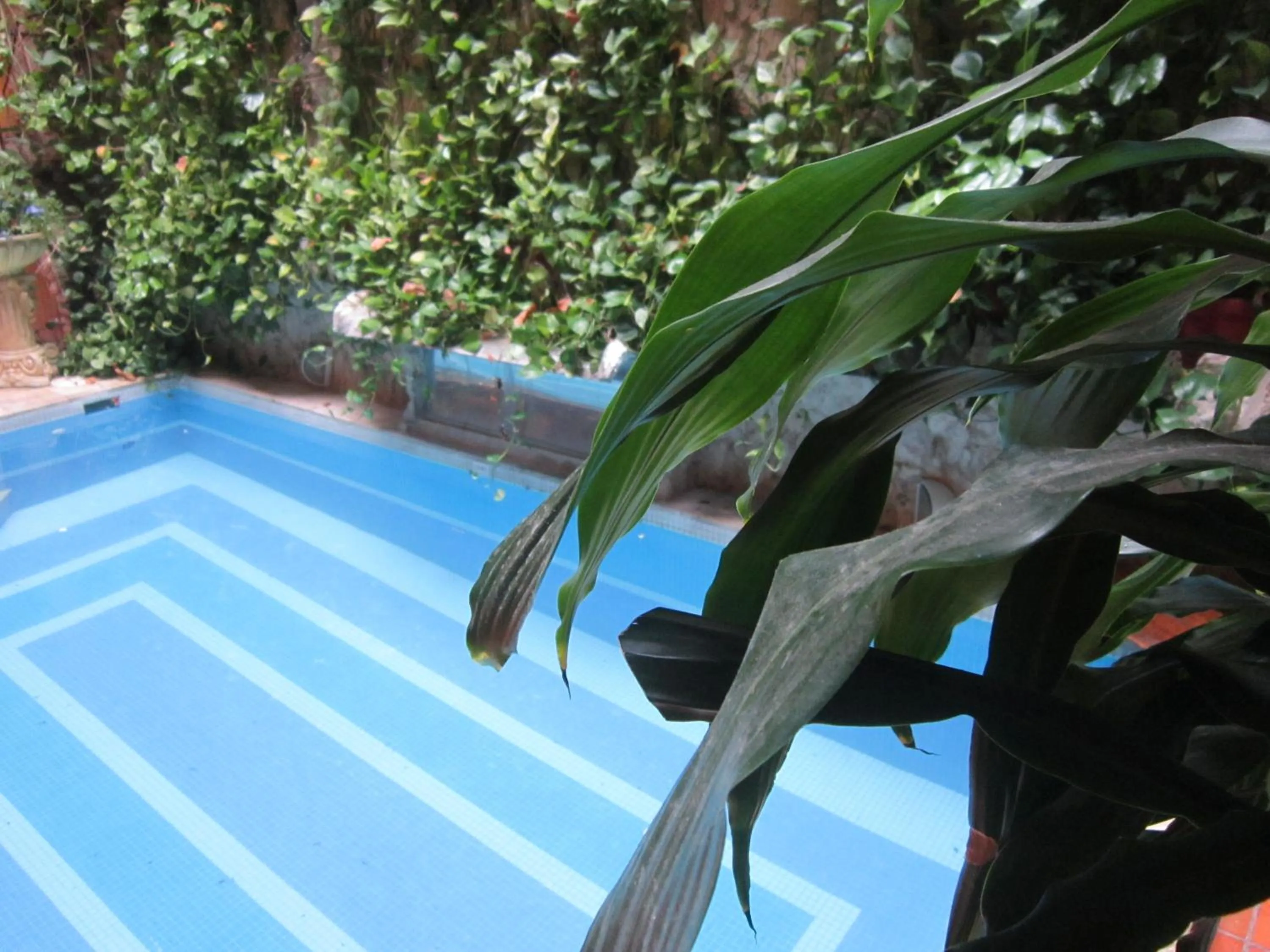 Day in Casa India Catalina