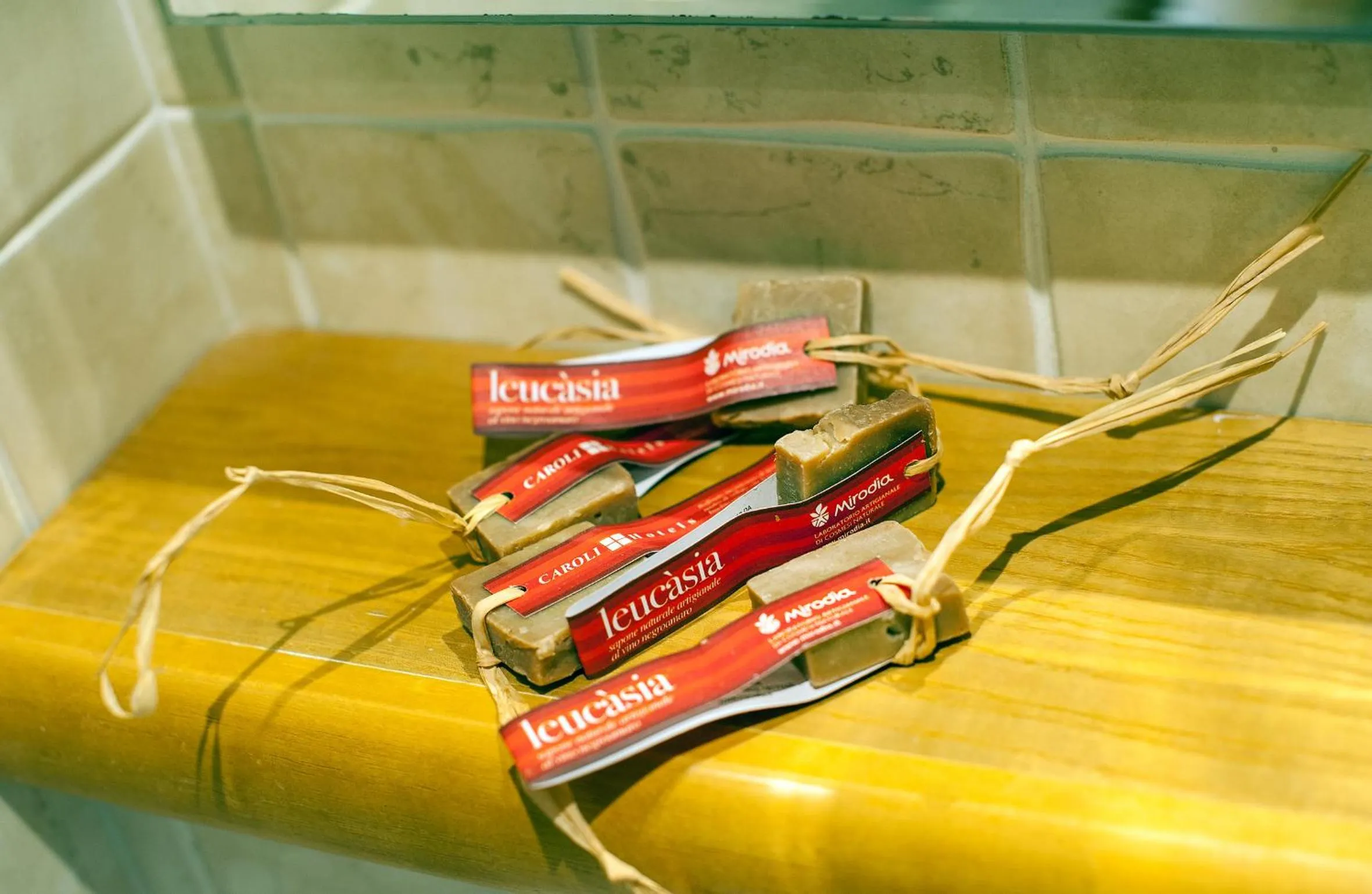 Other in Hotel Terminal - Caroli Hotels