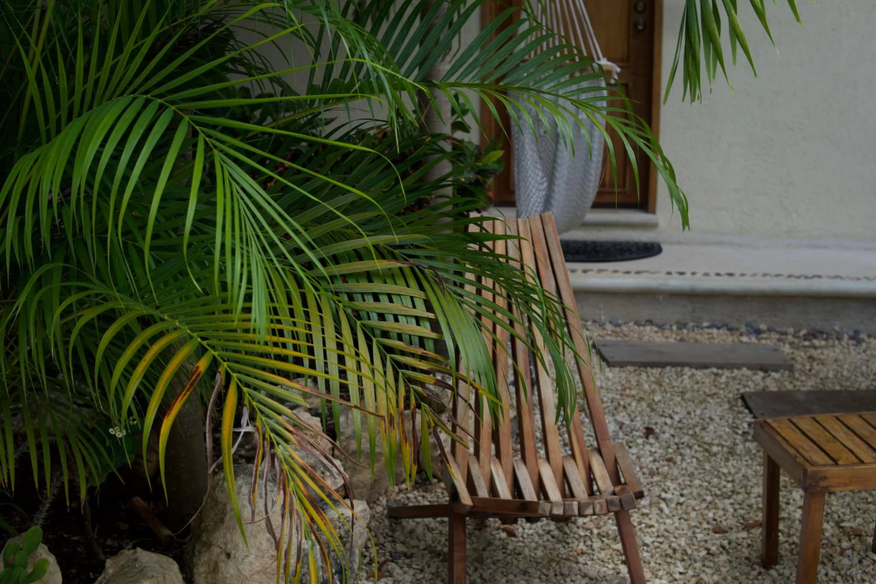 Day in Aldea San Lam - Oasis Of Tulum