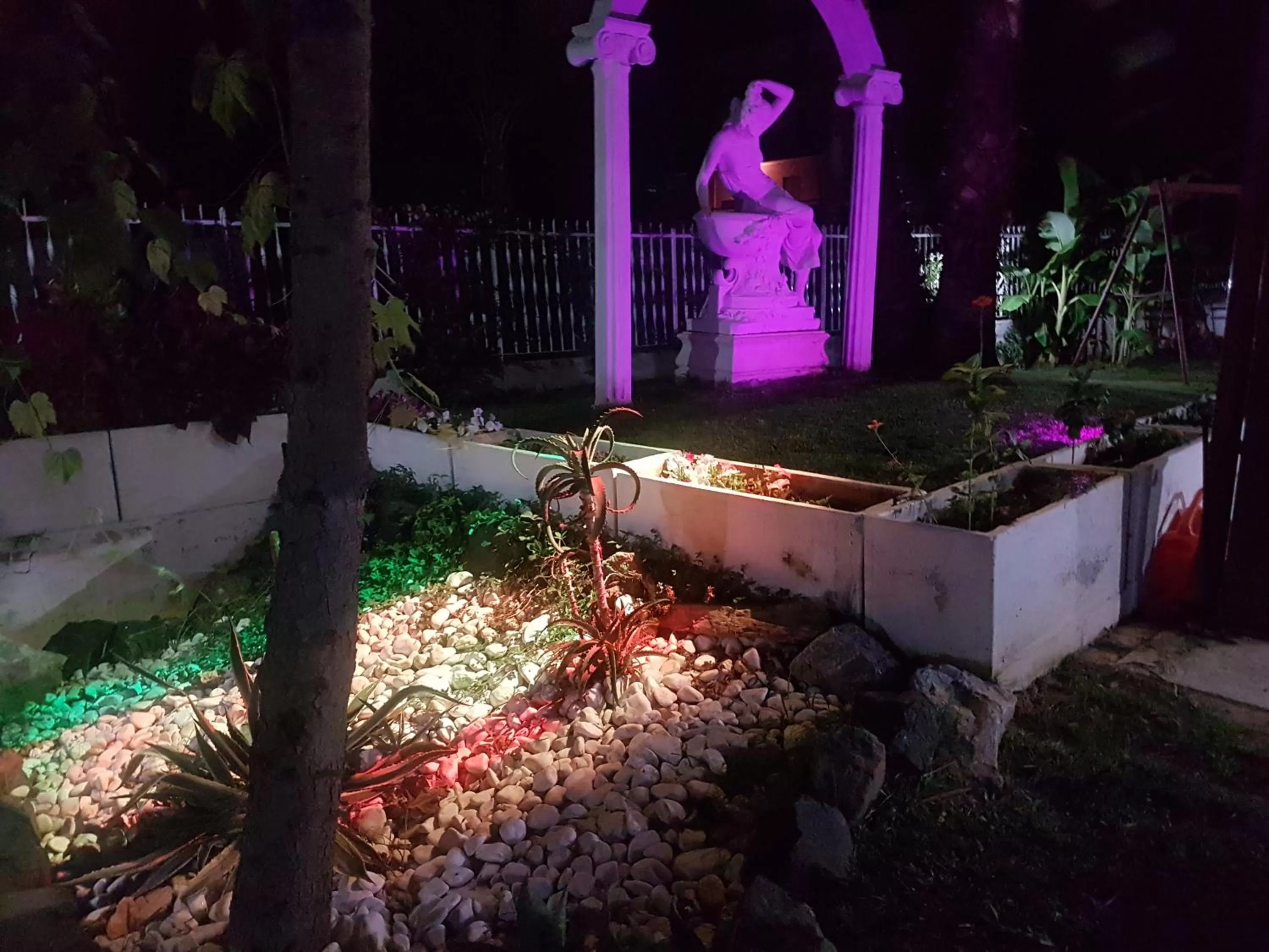 Garden in B&B Magna Grecia