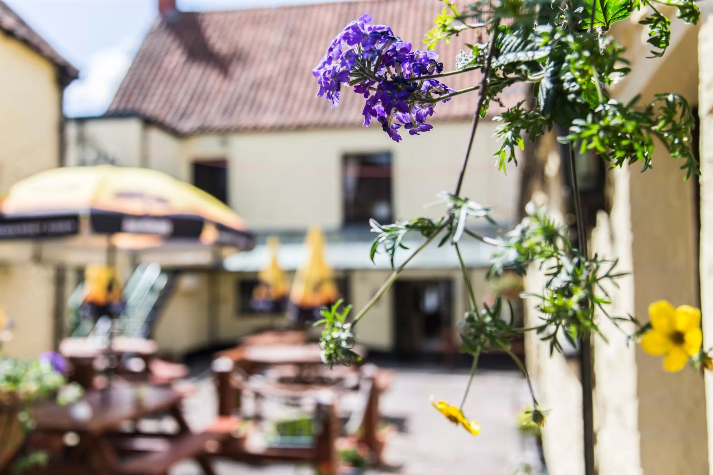 Property building in The Swan