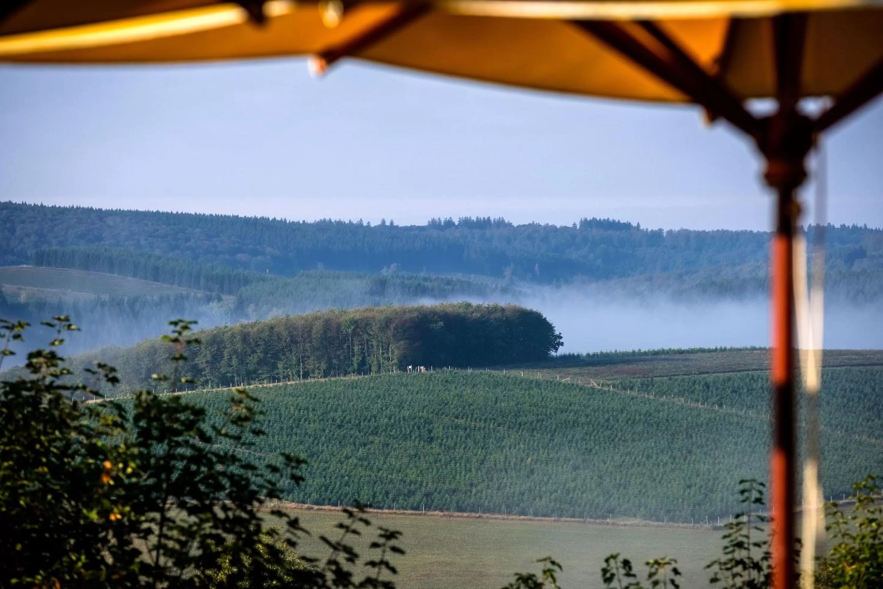 Mountain view in Waldhaus Ohlenbach