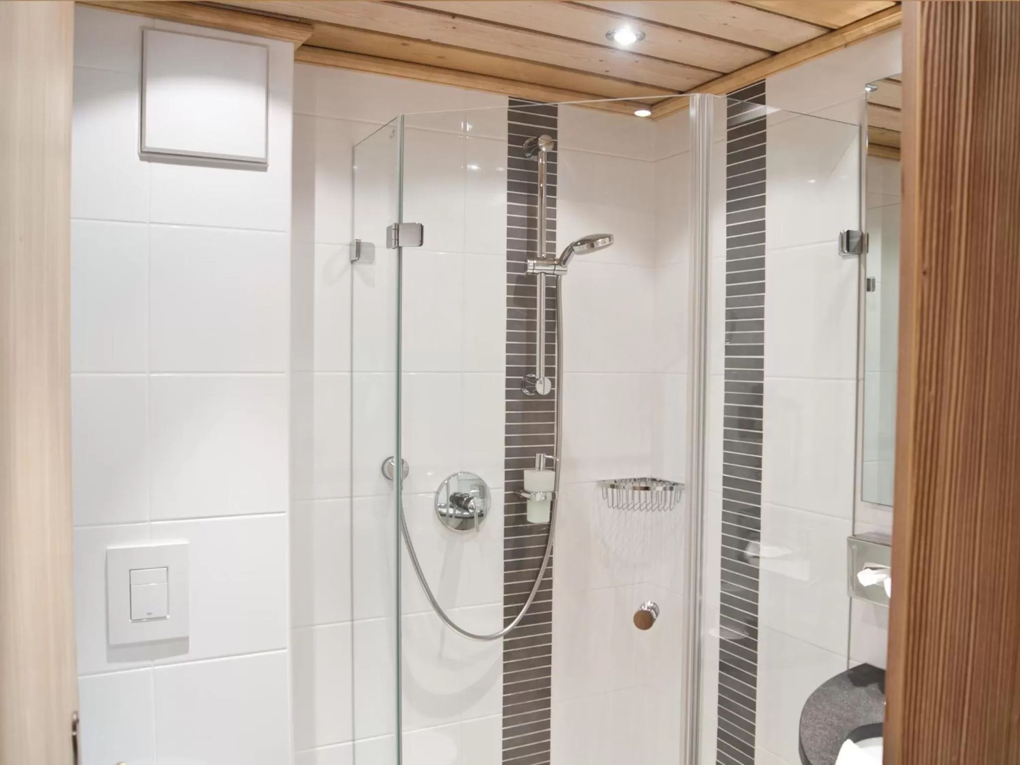 Shower in Hotel Grüner Baum