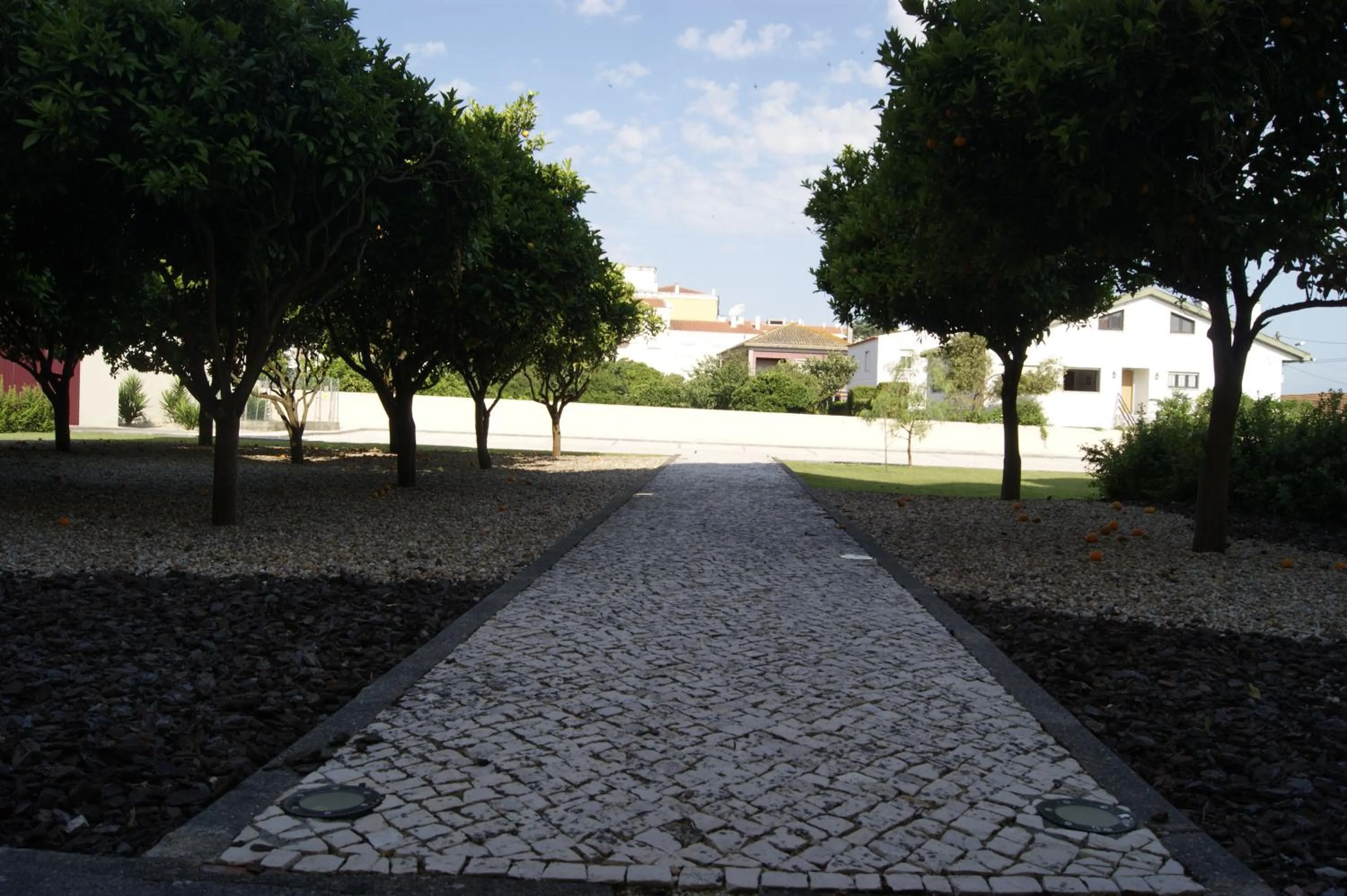 Garden in Hotel Comendador