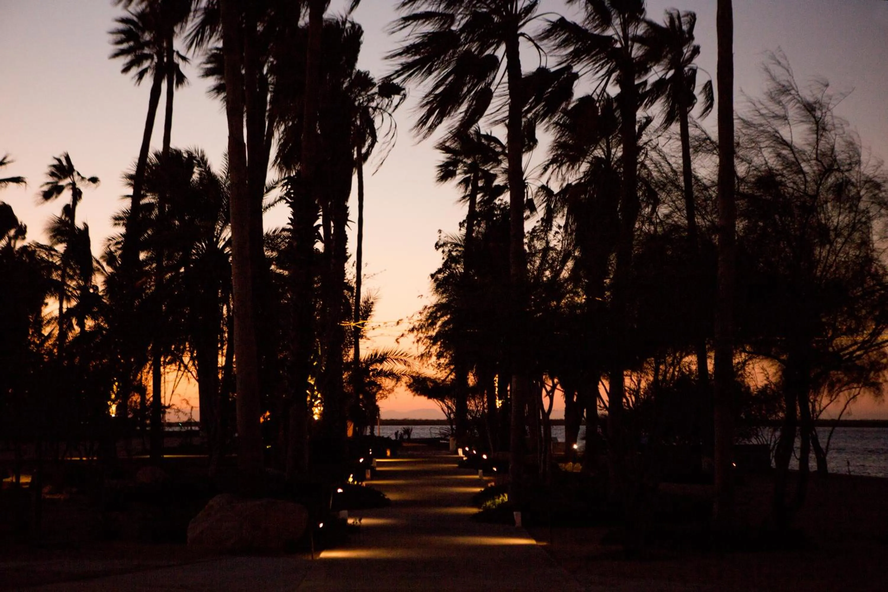Garden in Marea La Paz