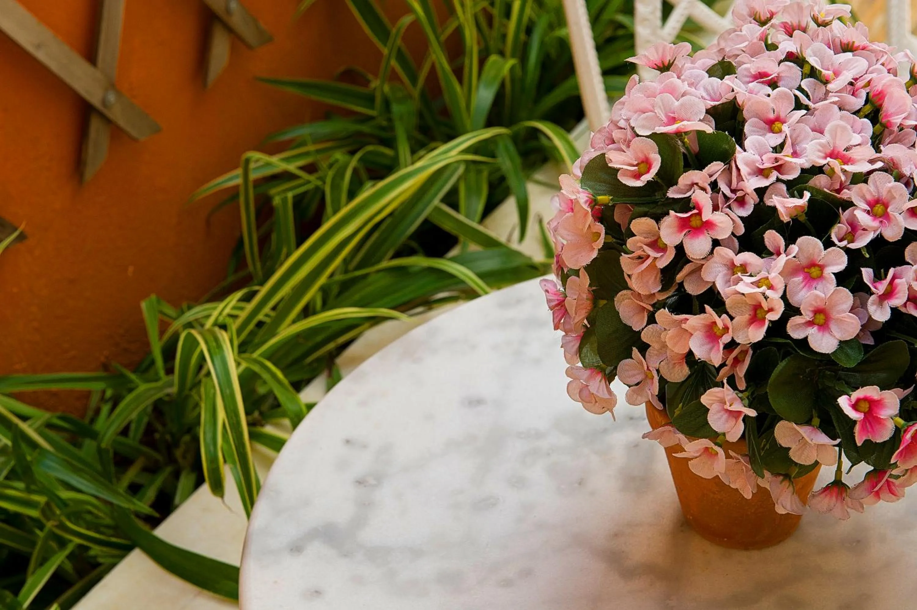 Patio in Marble House