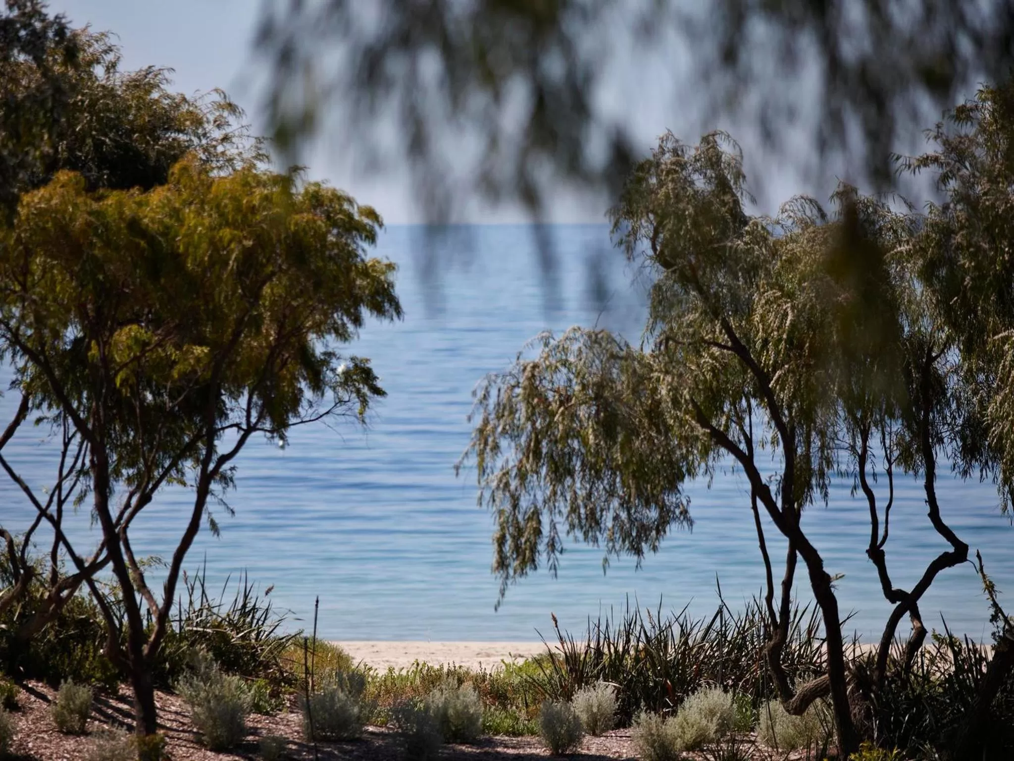 View (from property/room) in Aqua Resort Busselton