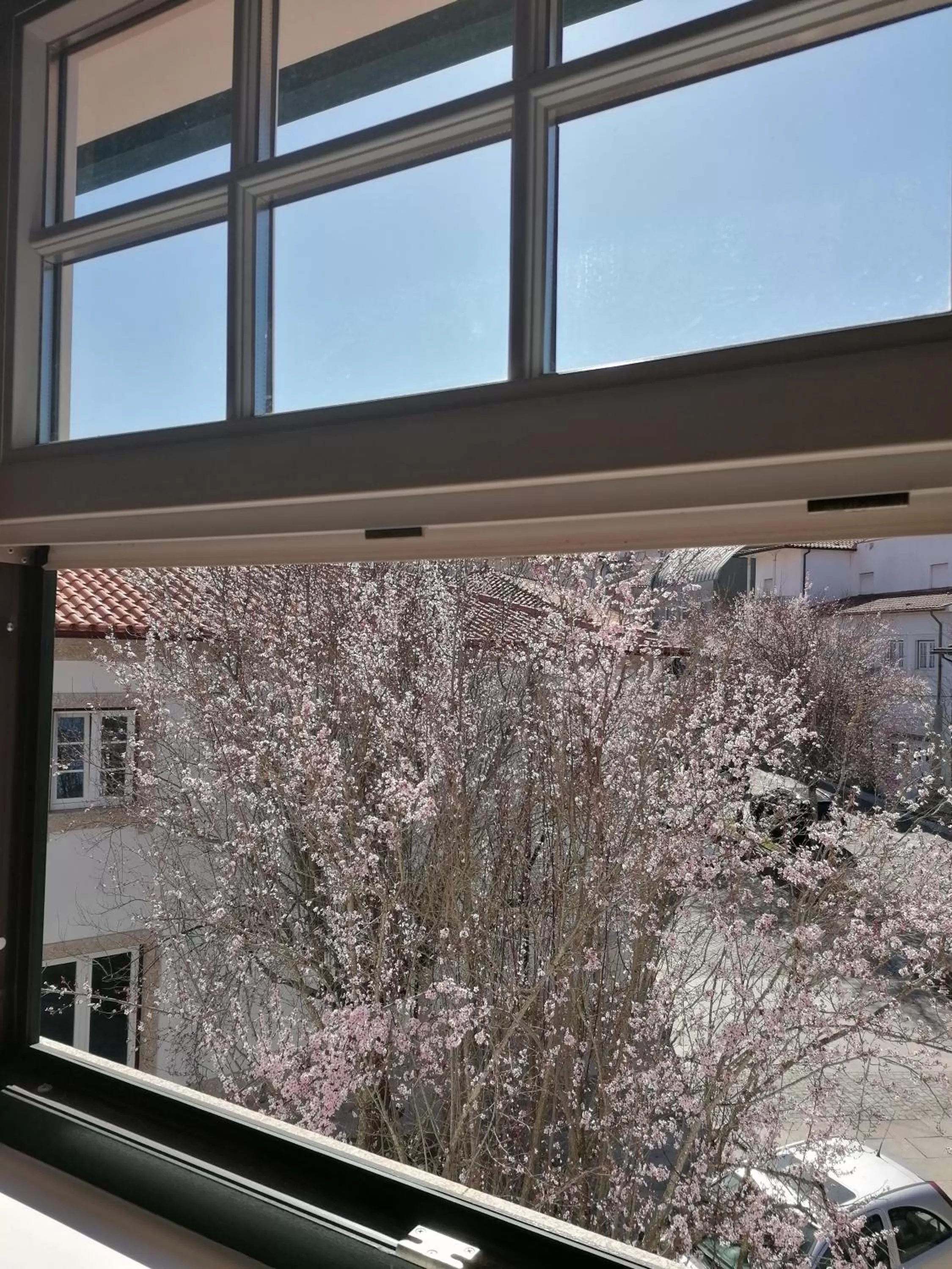 Spring in Casa da Careca