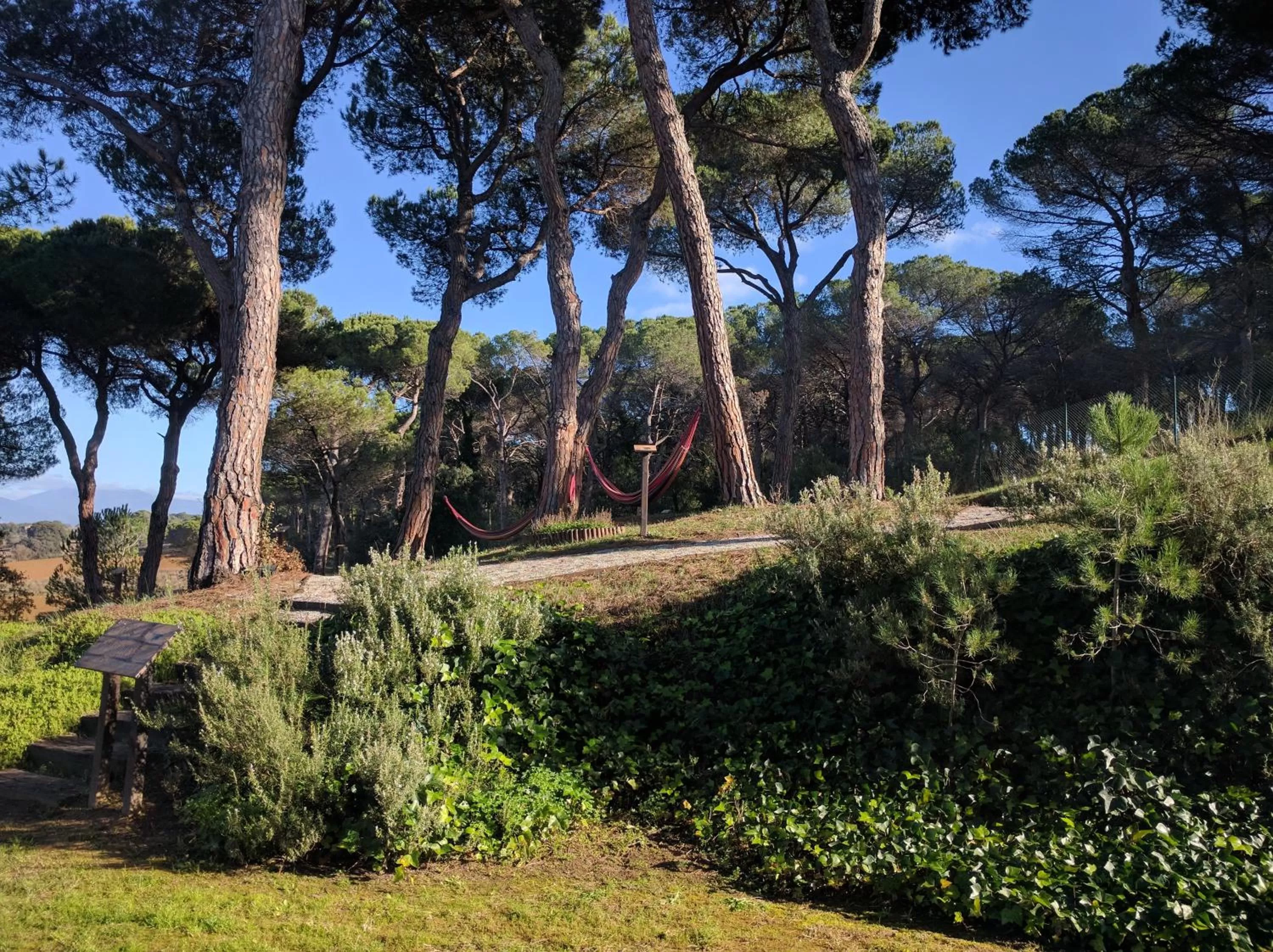 Garden in Augusta Barcelona Vallès