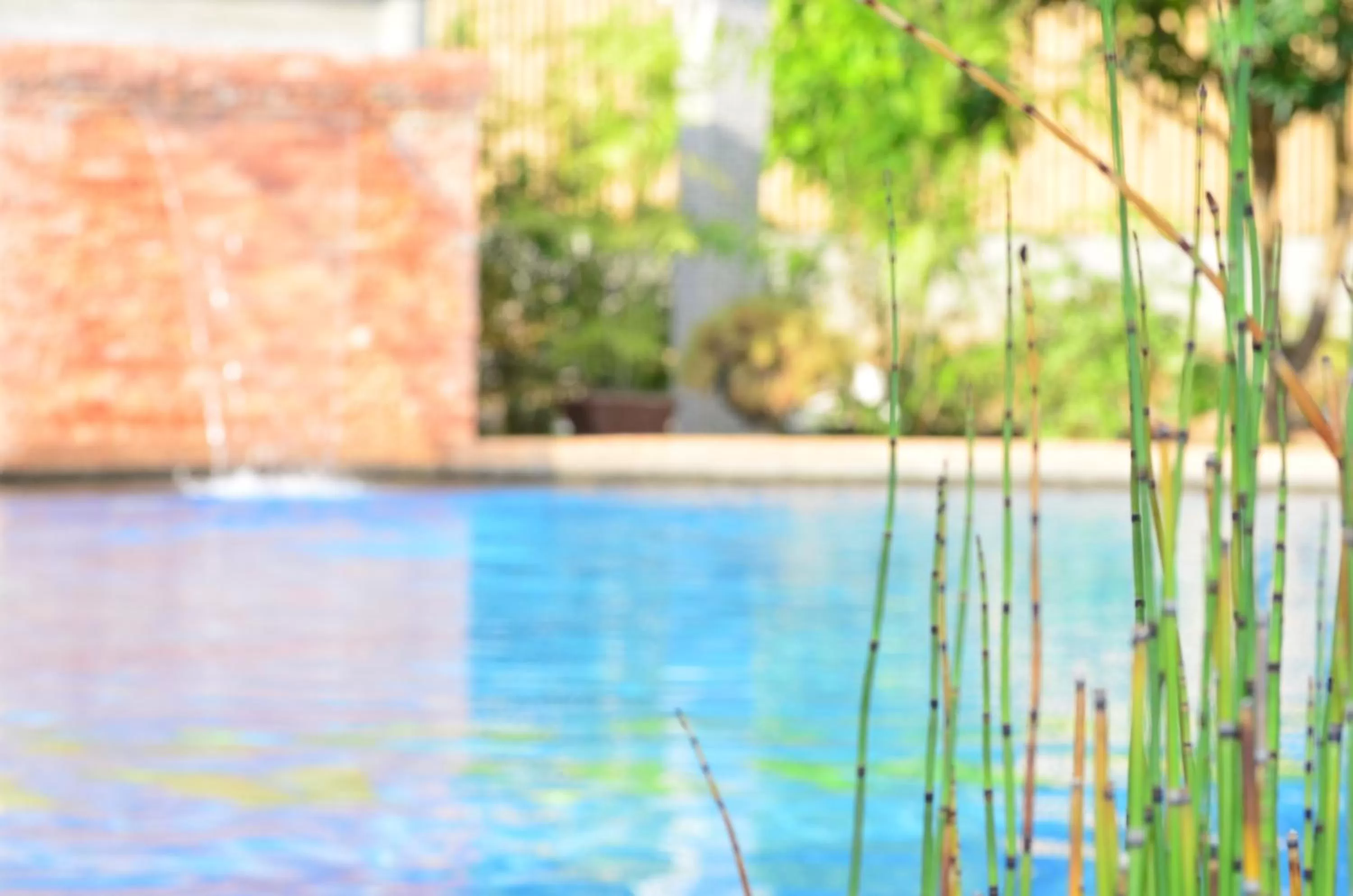 Day in Veraneante Resort