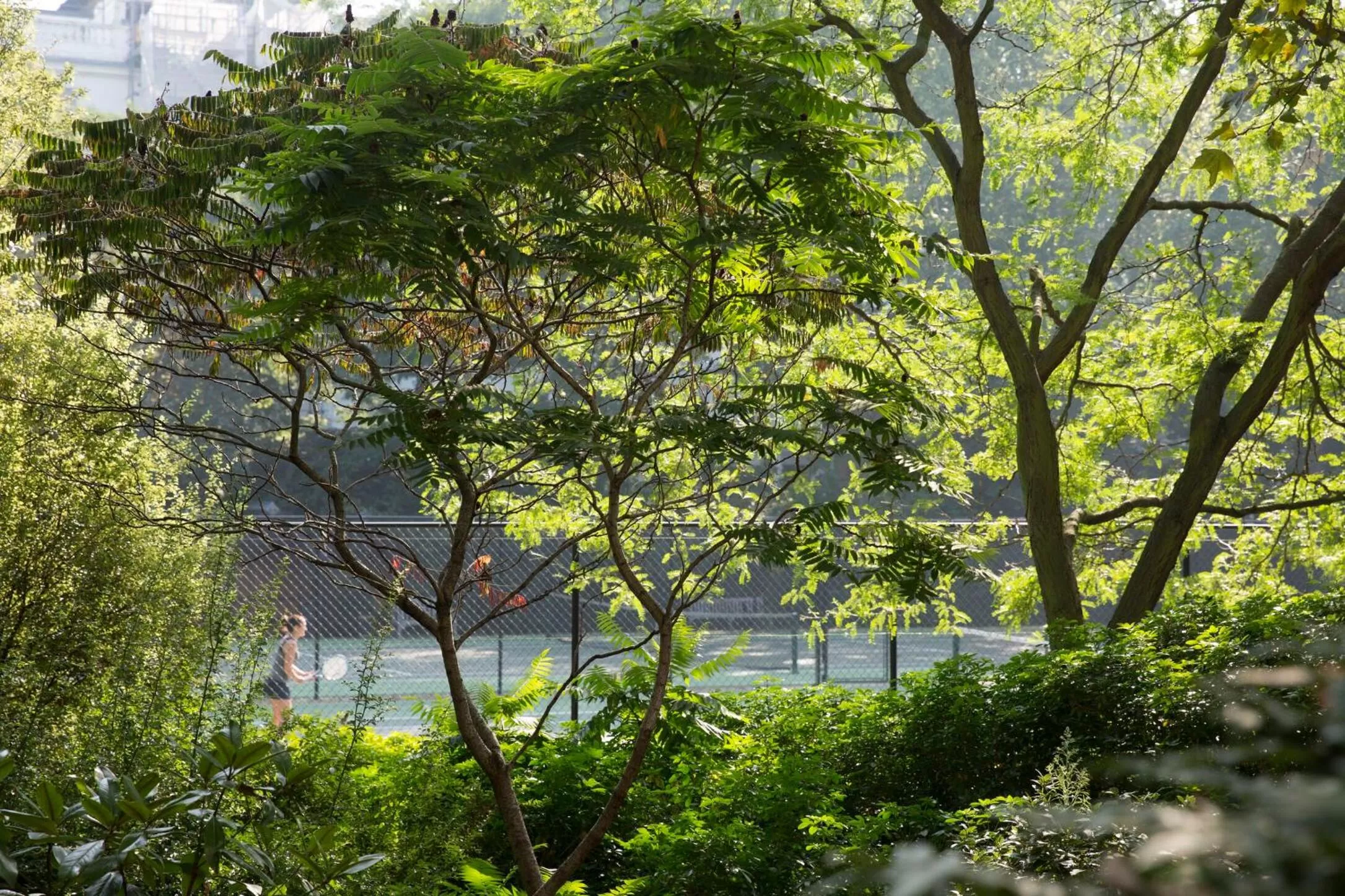 Tennis court in Jumeirah Carlton Tower London