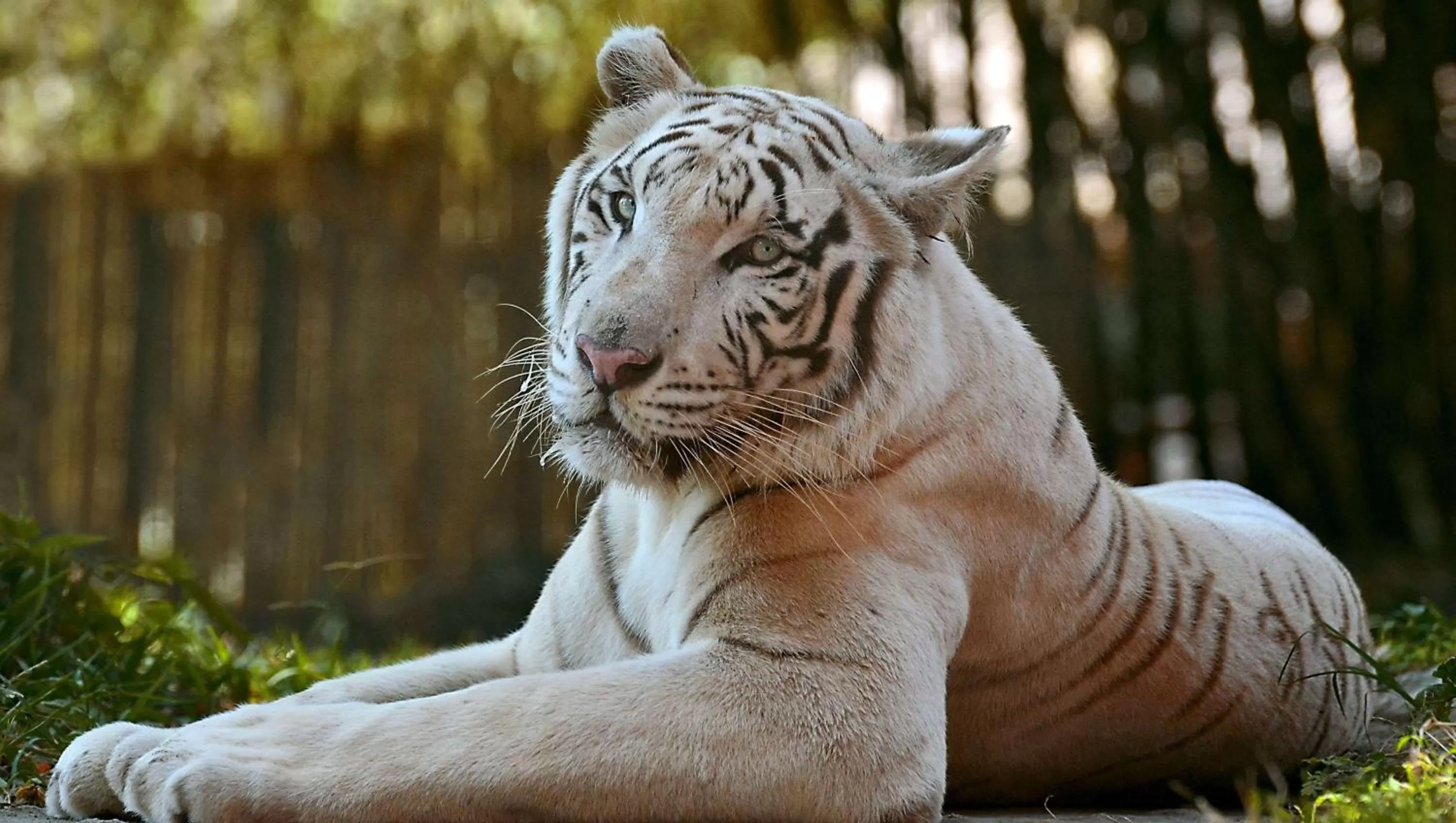 Nearby landmark in Magnuson Hotel Little Rock South