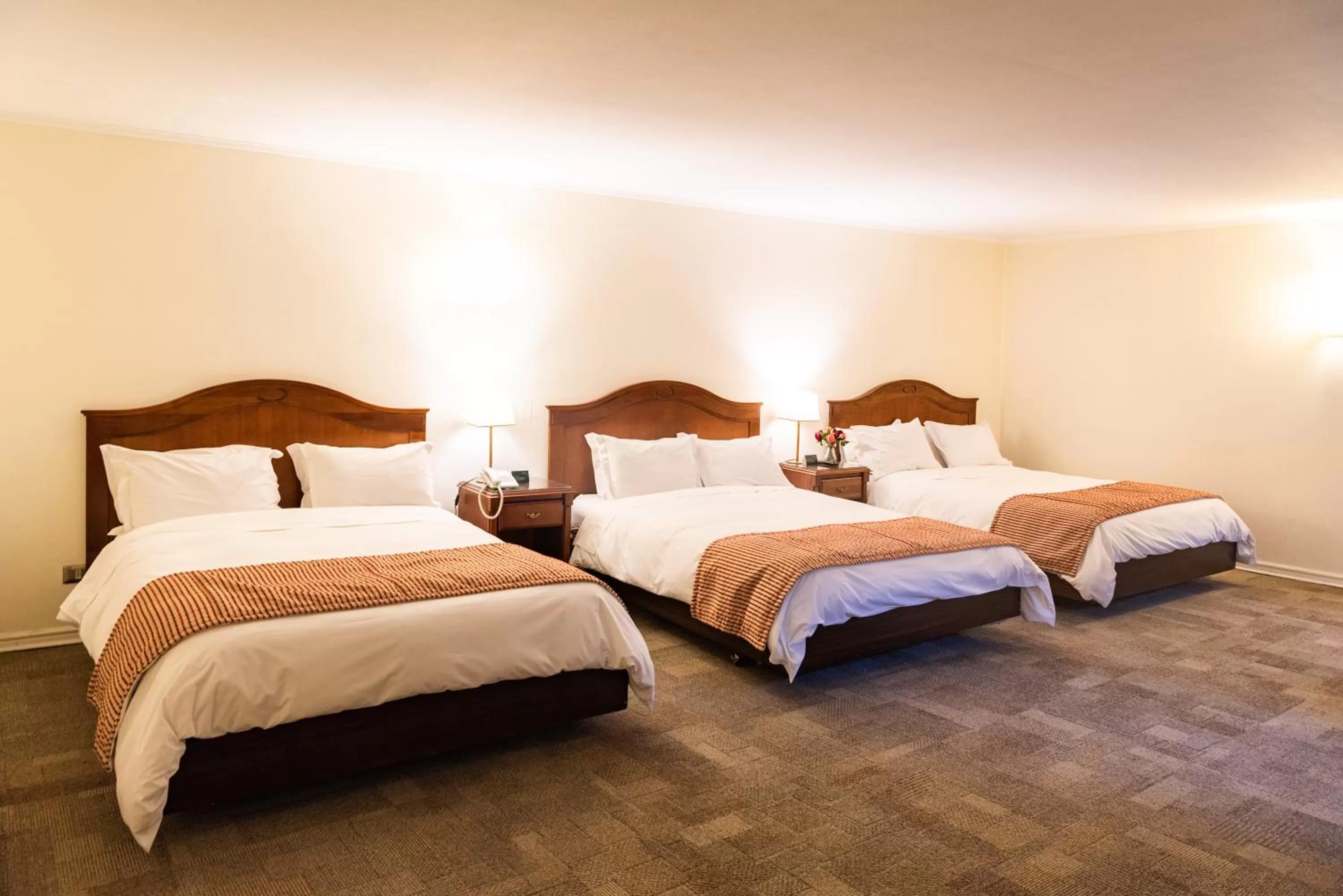 Bed in MR Hotel Providencia (ex Hotel Neruda)