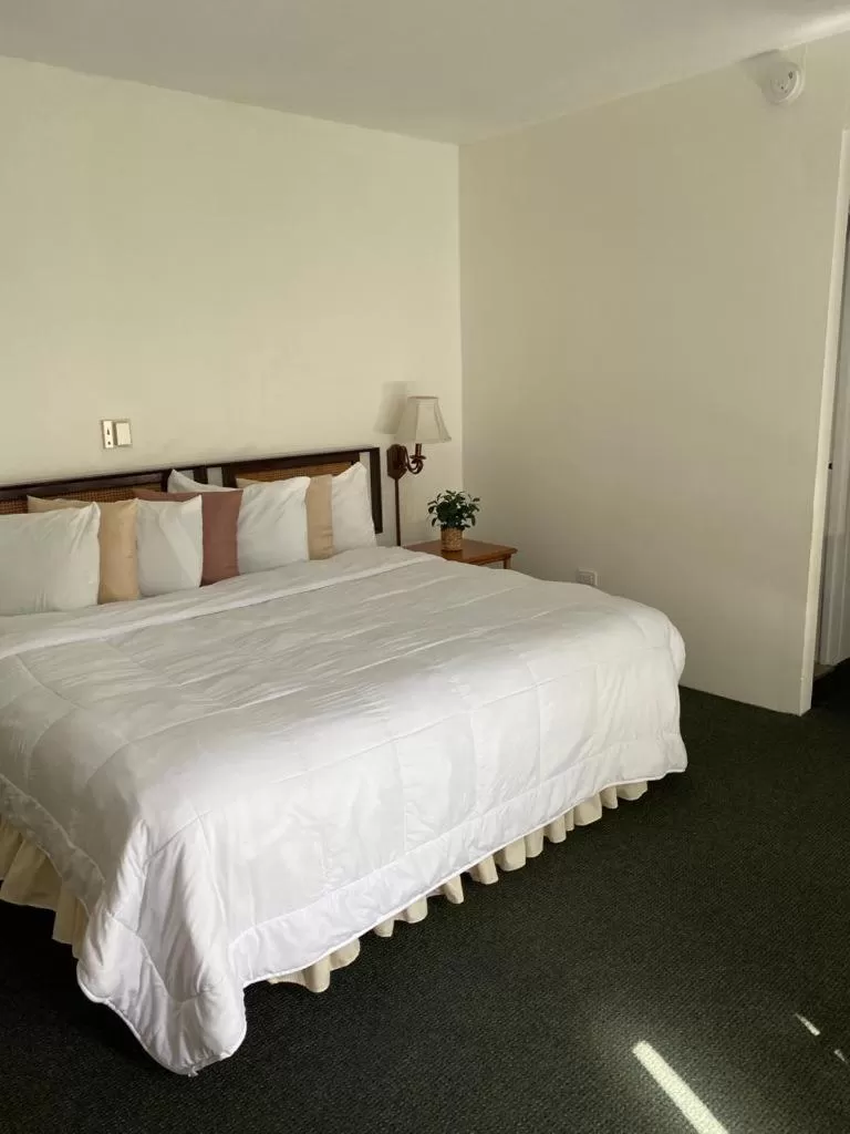 Bed in Hotel Melia Ponce