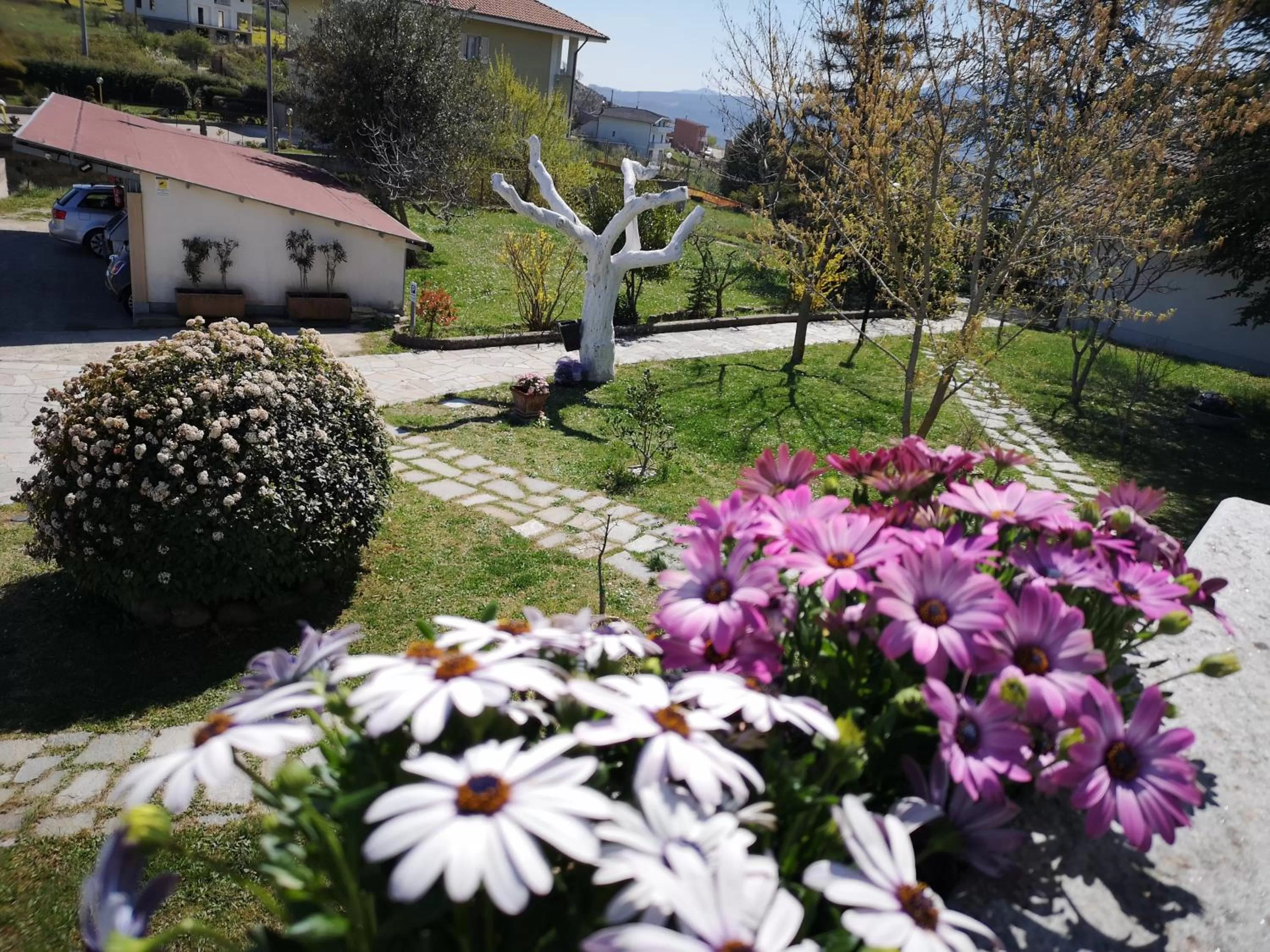 Garden in Gianmaria B&B