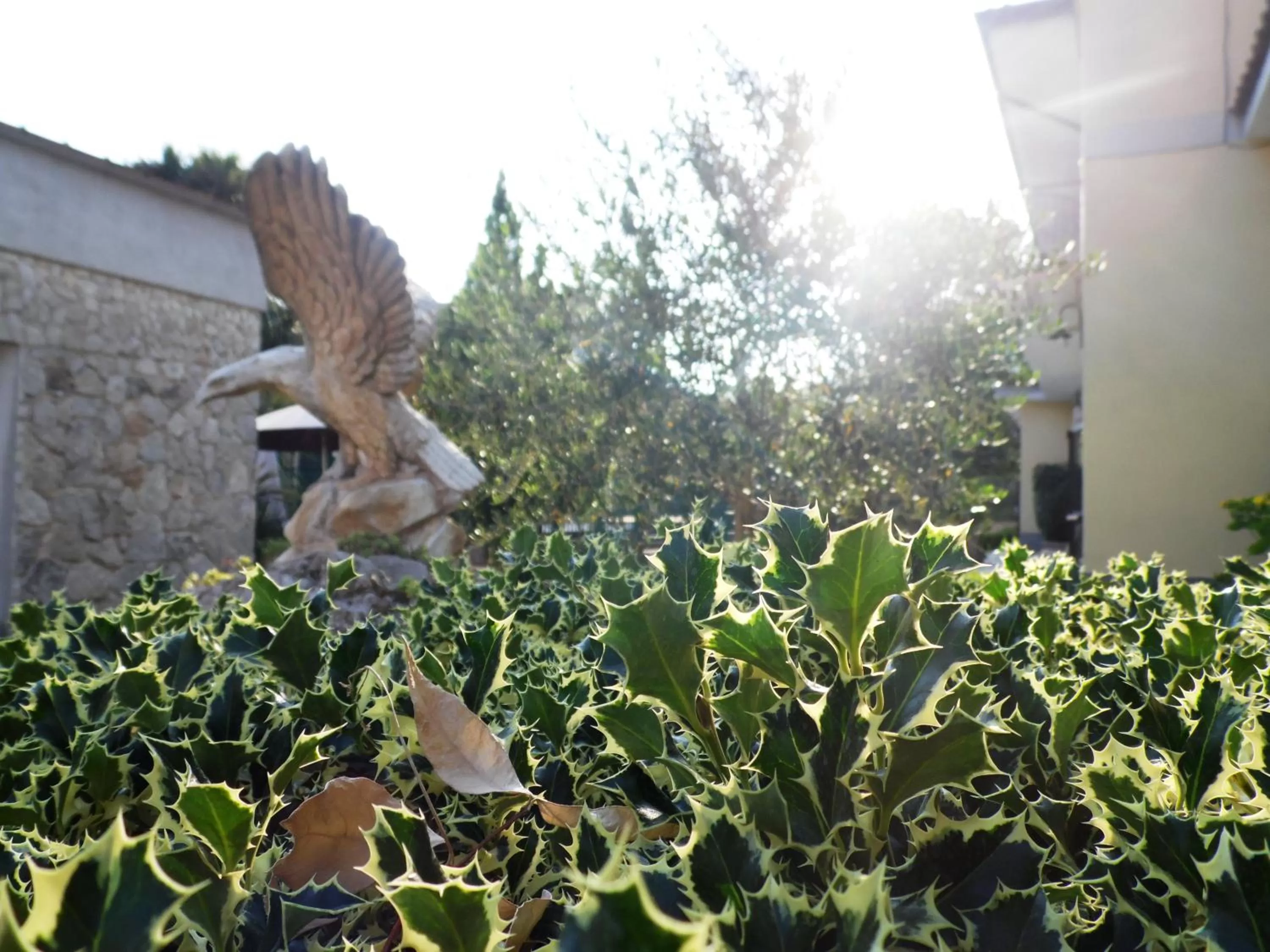 Facade/entrance in Hotel Rosso Di Sera