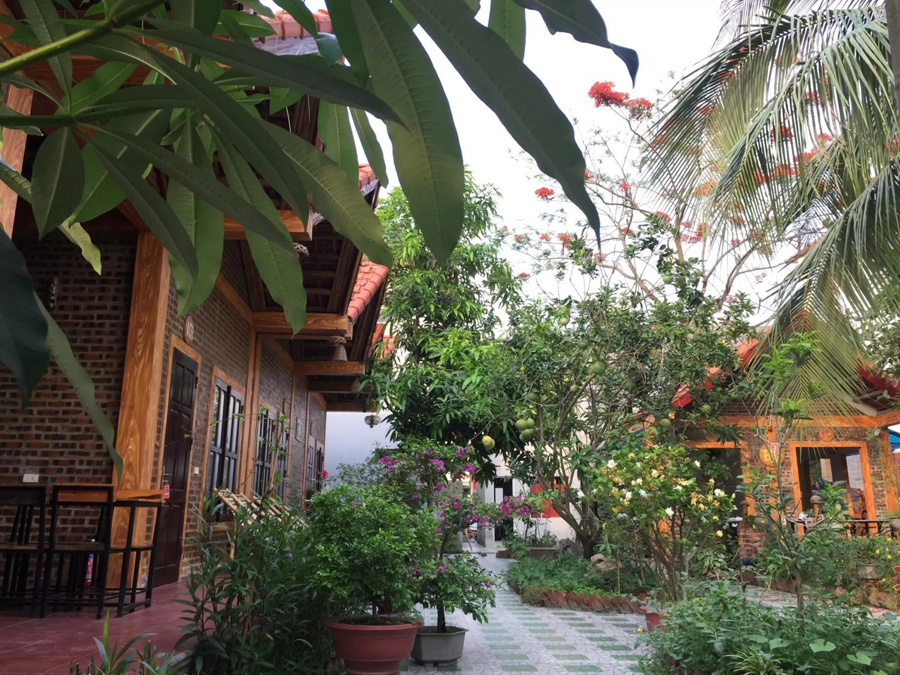 Property building in Tam Coc Vinh Thinh Homestay