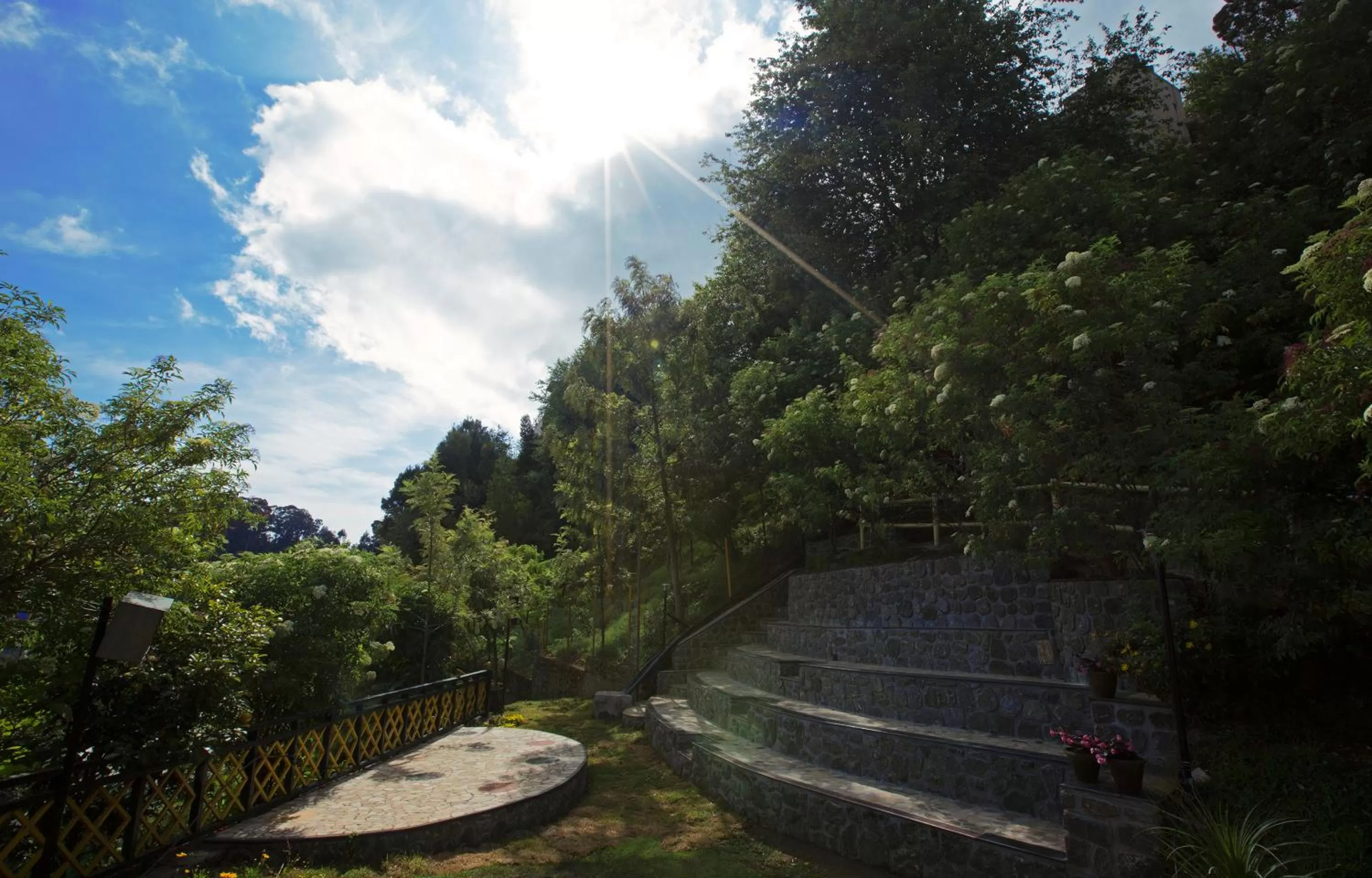 Evening entertainment in Pine Borough Inn