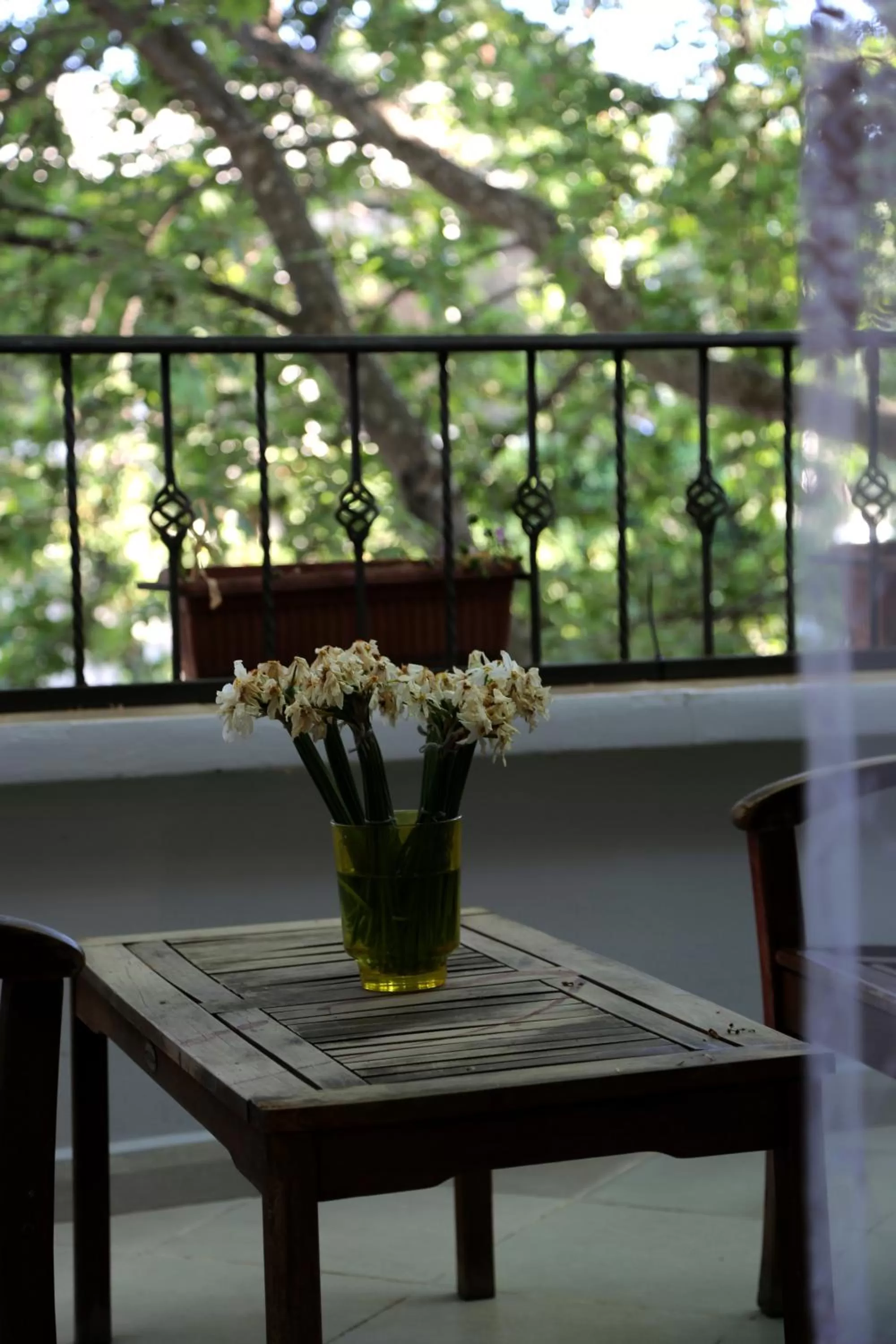 Patio in Hotel Millenium Tirana