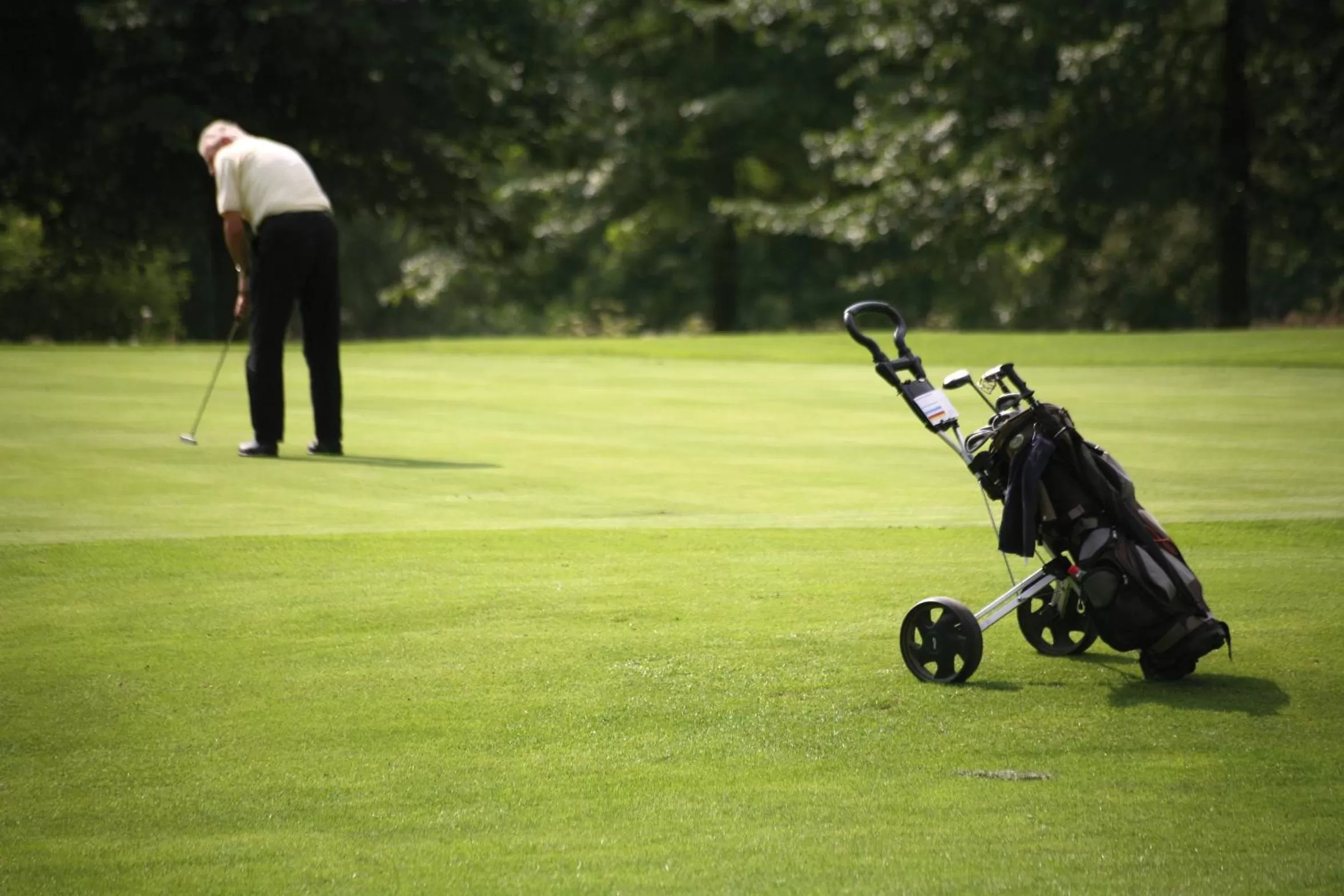 Golfcourse in Parkhotel