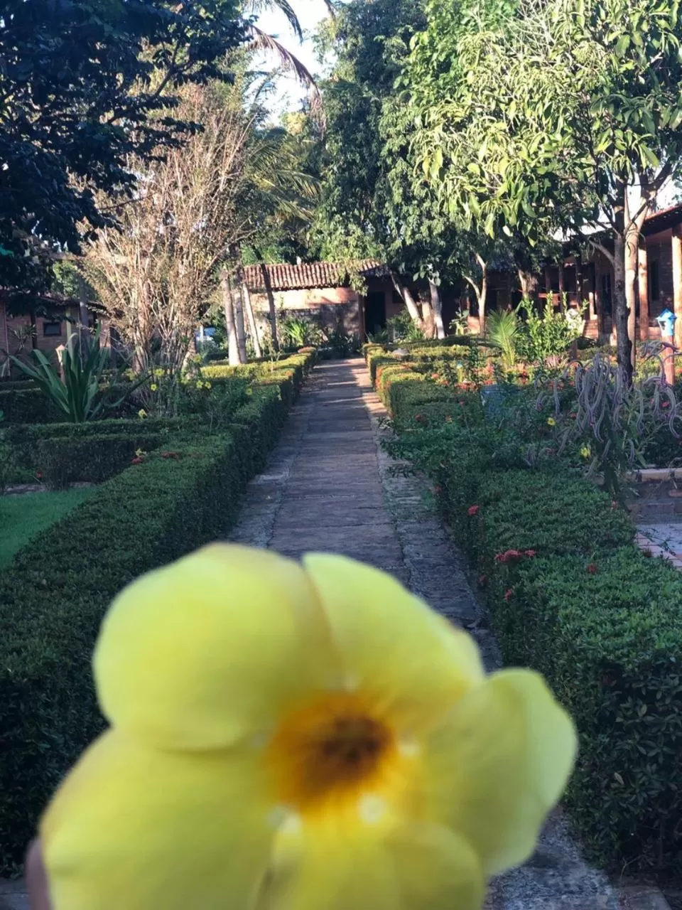 Garden in Pousada do Riacho