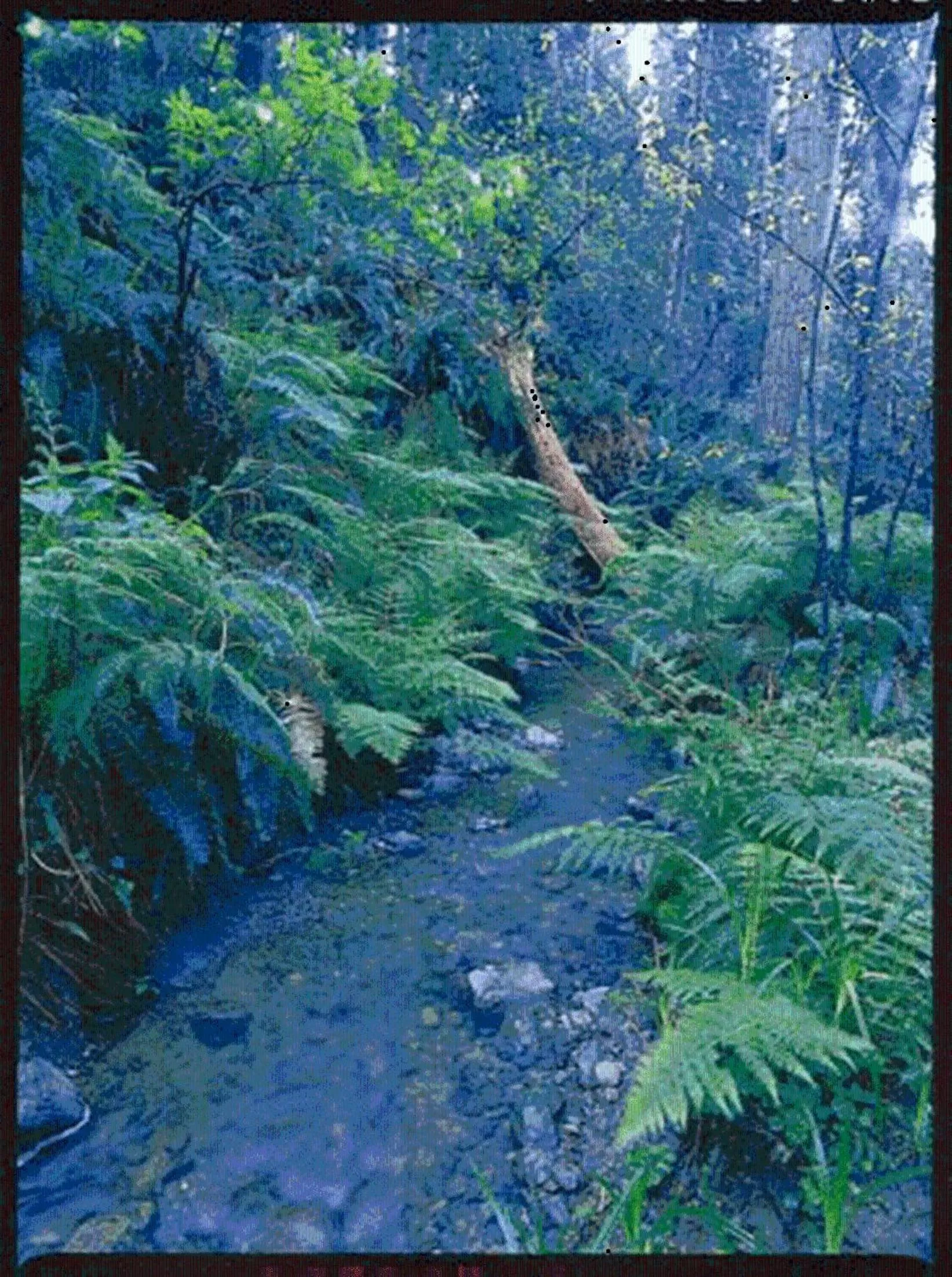 Hiking in Inn at Schoolhouse Creek