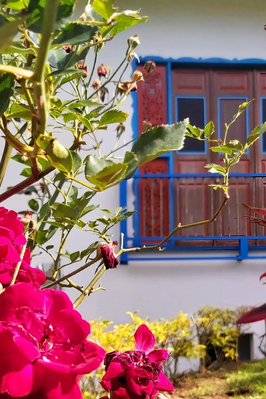 Property building in Balsora Hotel Boutique