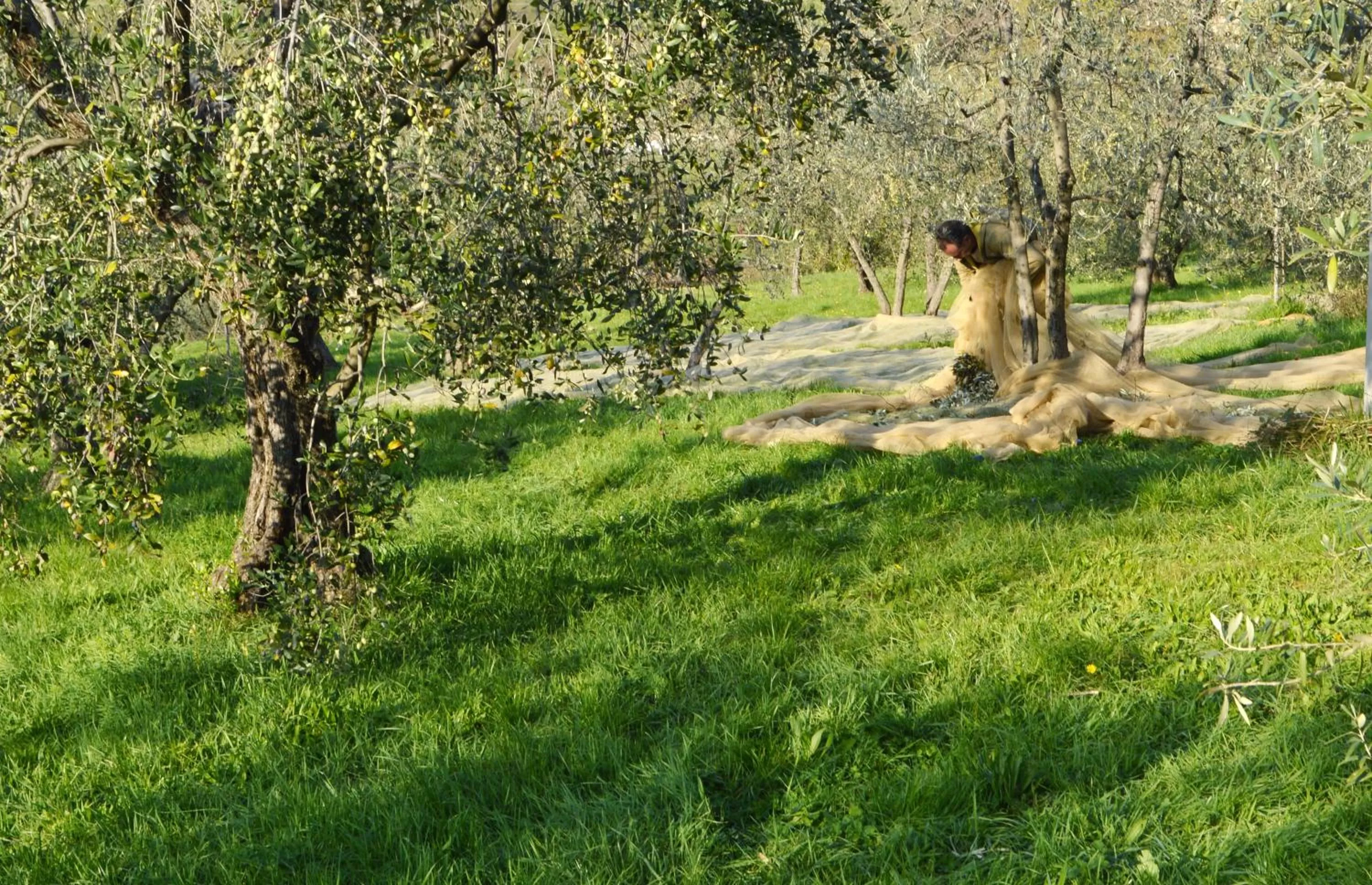 Other in Armonie di Villa Incontri B&B