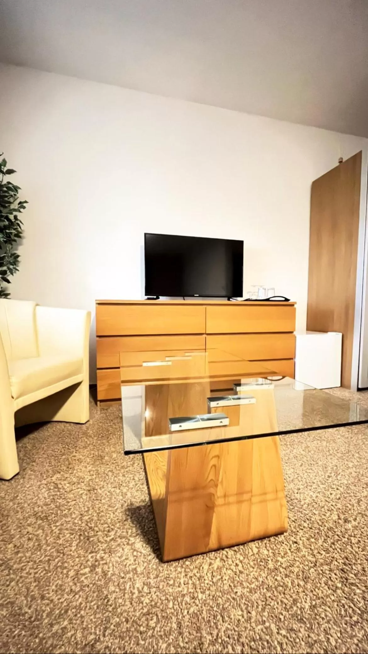 TV/Entertainment Center in Hotel Algar