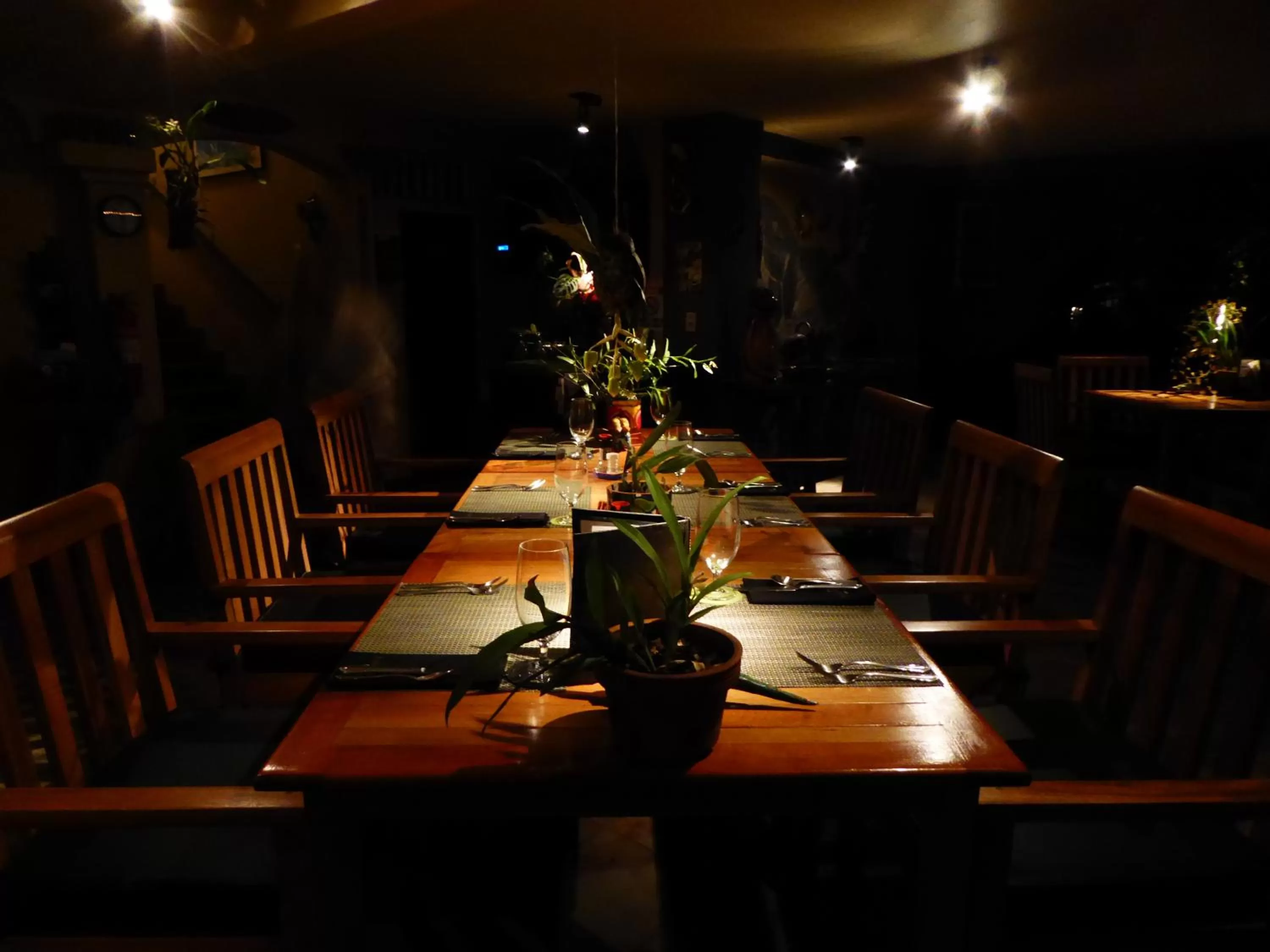 Restaurant/Places to Eat in Pura Vida Hotel