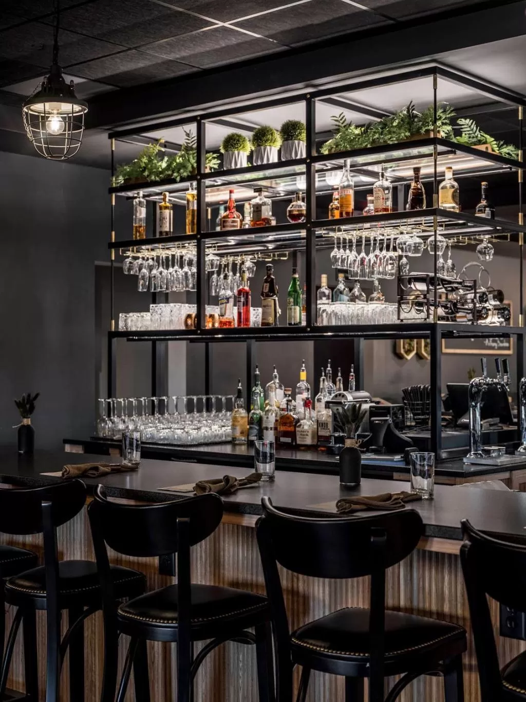 Lounge or bar, Lounge/Bar in The Federal