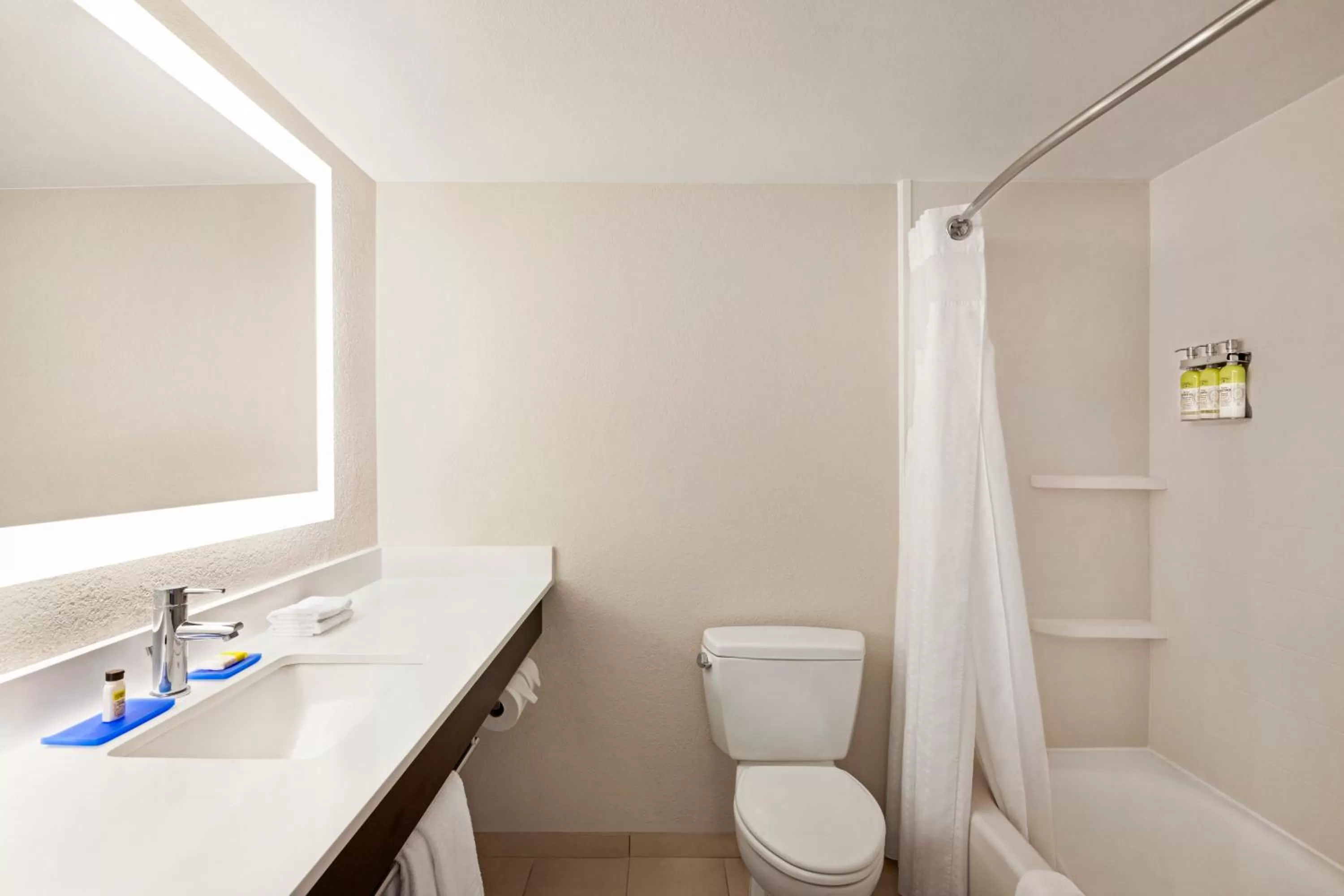 Bathroom in Holiday Inn Express & Suites Sarasota East by IHG