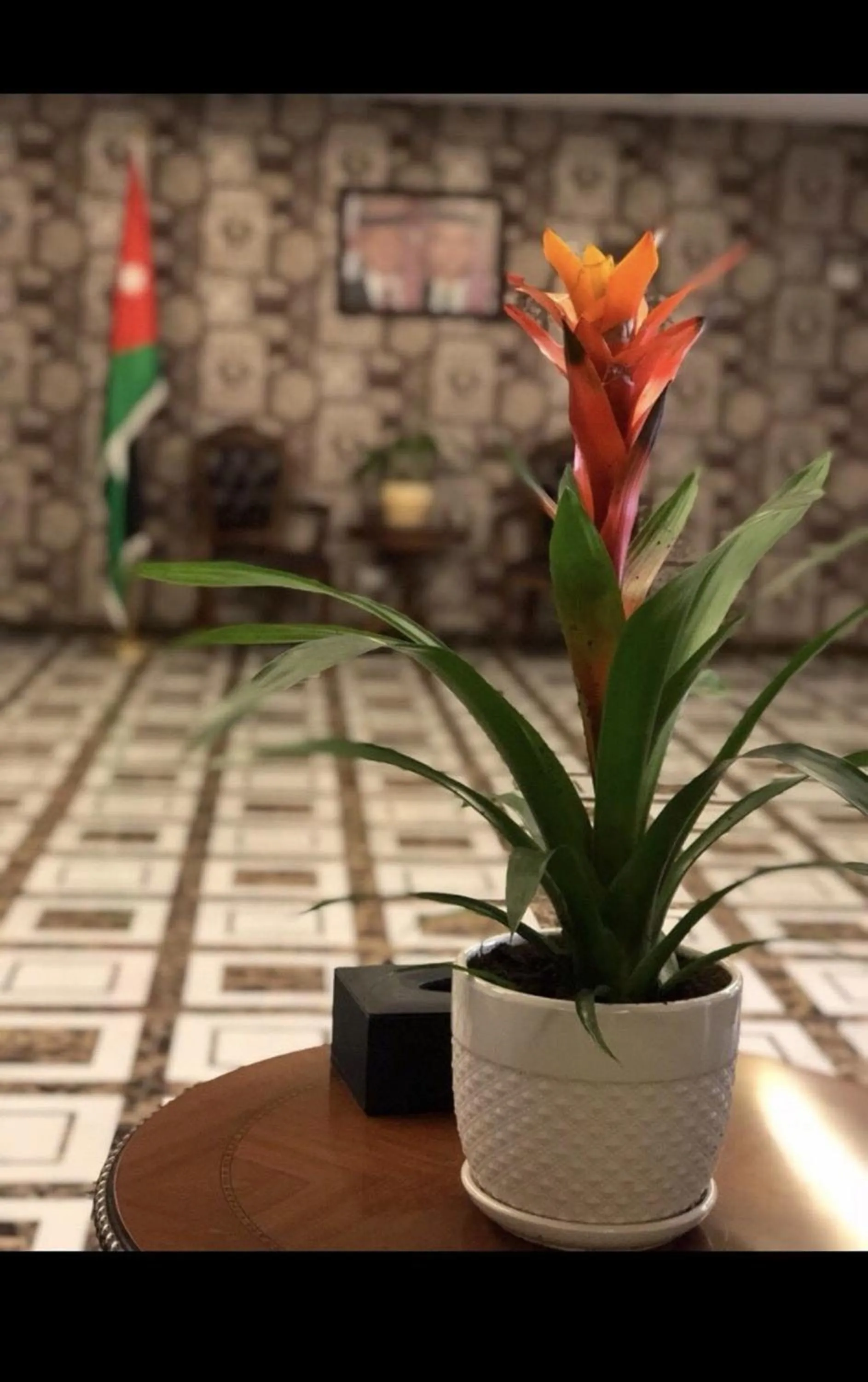 Patio in Tilal Almadina Hotel & Suites