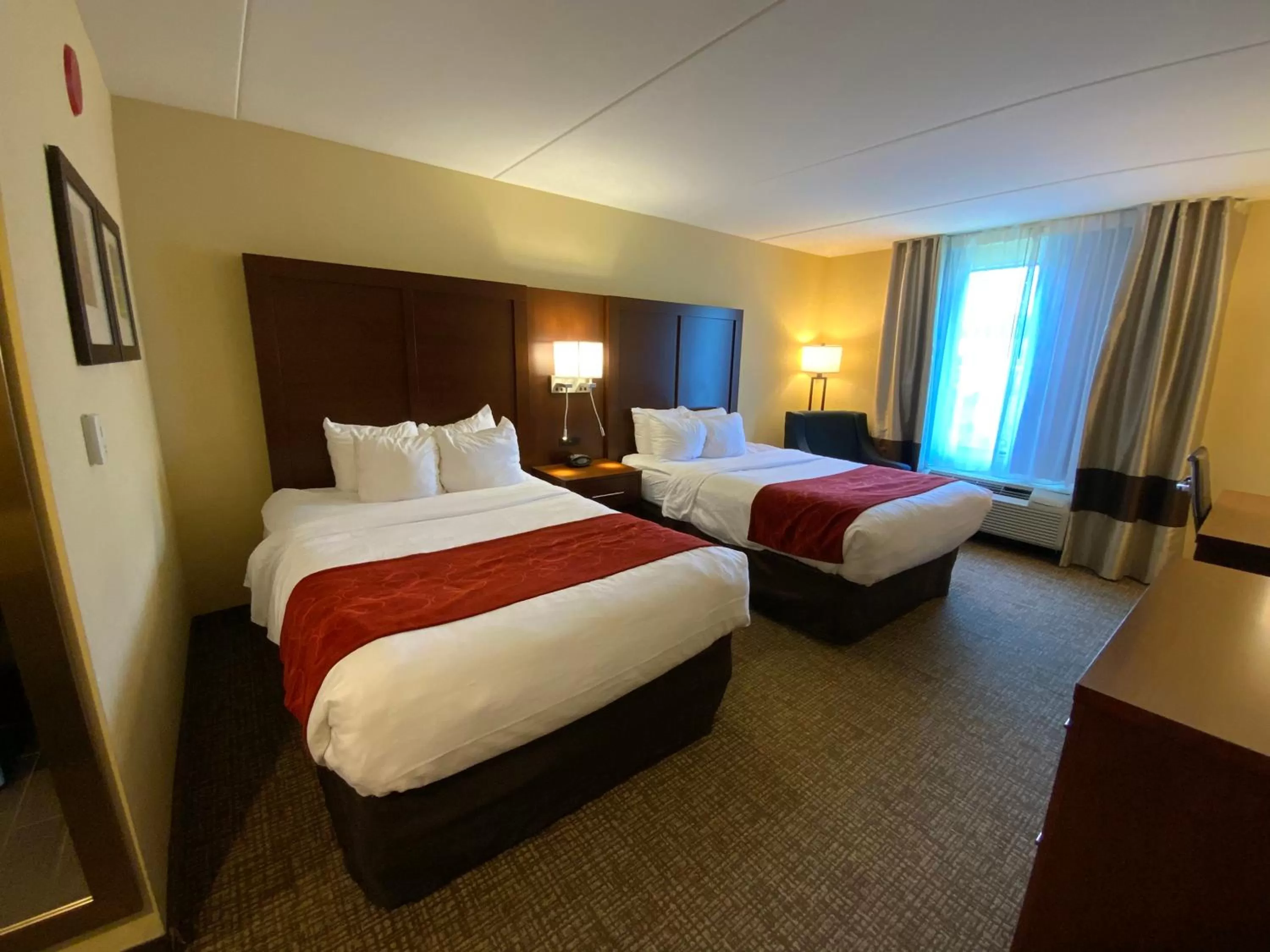 Bedroom, Bed in Comfort Suites Fredericksburg North