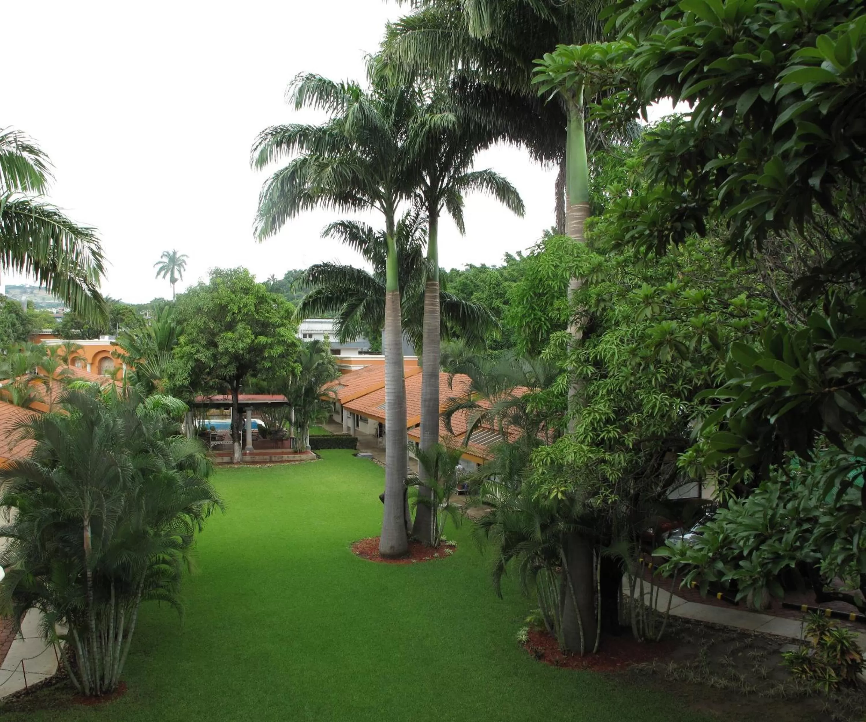 Garden in Hotel Palmareca