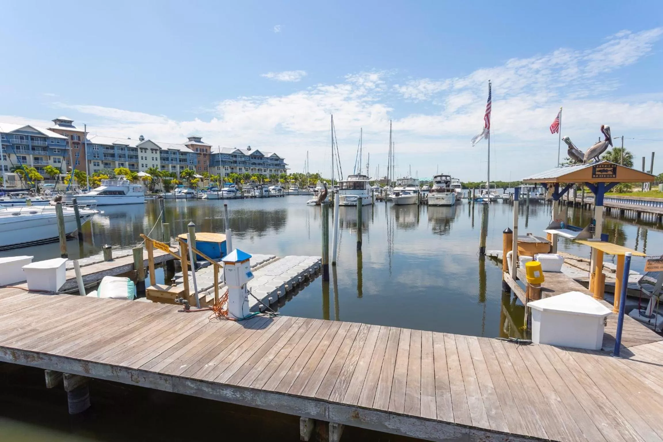 Neighbourhood in TAMPA BAY, BEACH step away, WIFI, FREE PARKING,POOLS, JACUZZI