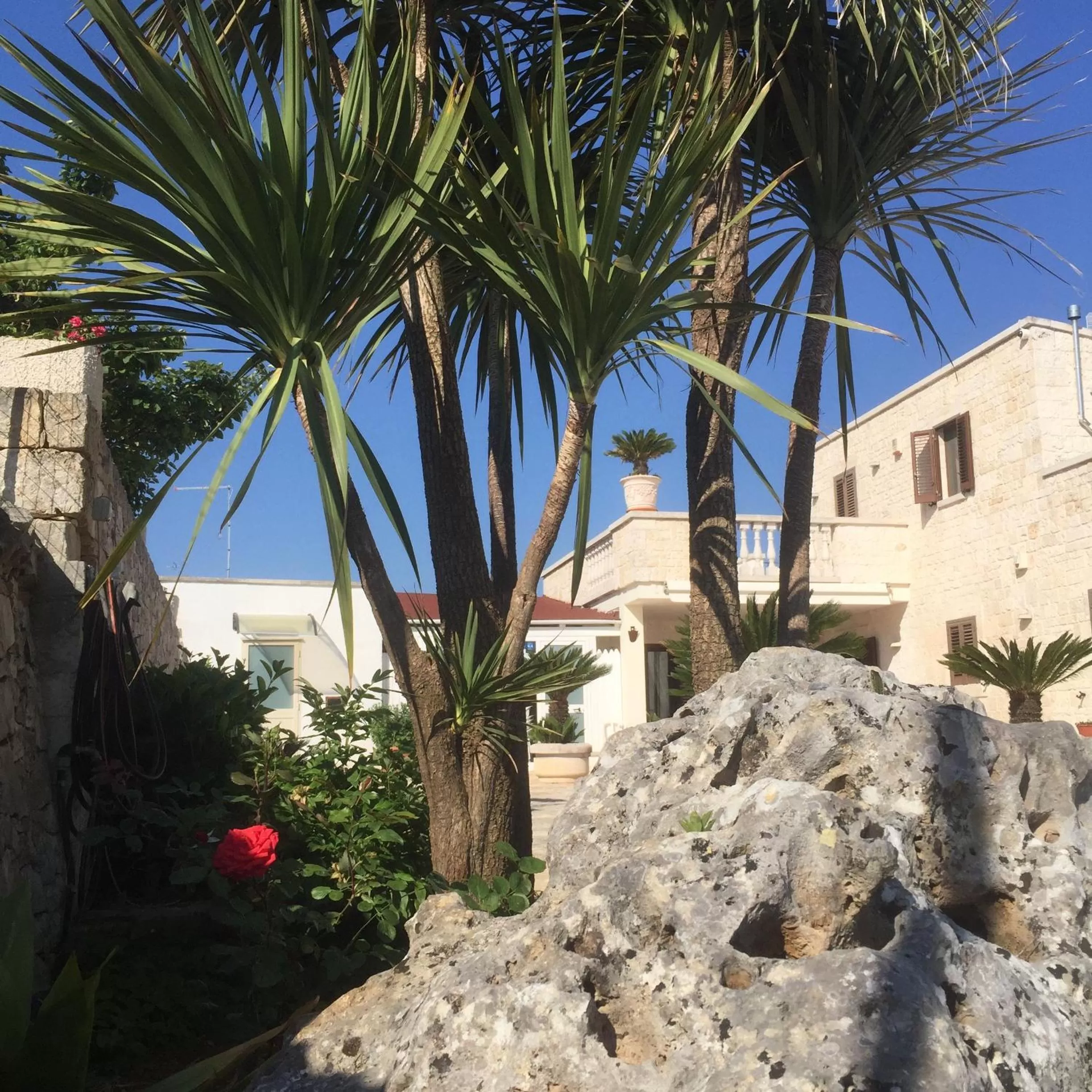 On site, Property Building in B&B Villa Grassi