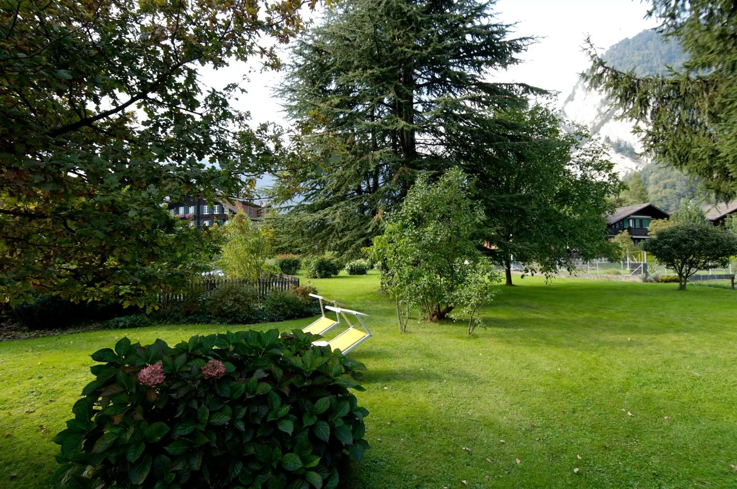Garden in Hotel Beausite