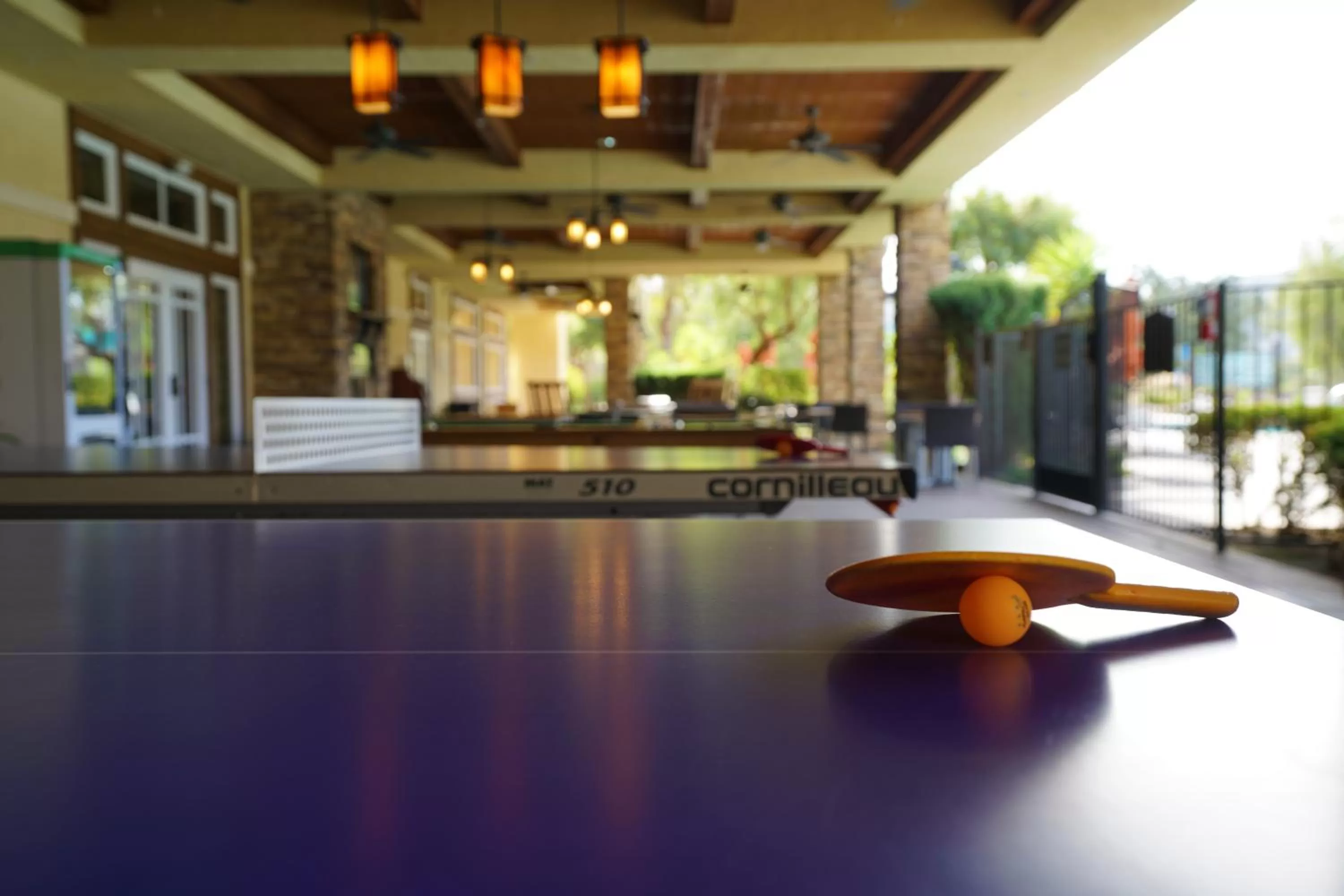 Table tennis in Hyatt Vacation Club at the Welk, San Diego