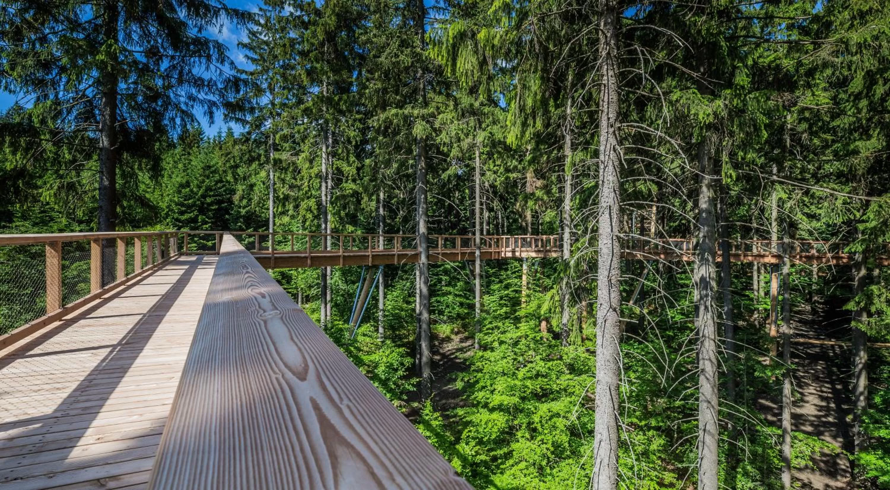 Nearby landmark in Ski Hotel Svoboda nad Úpou