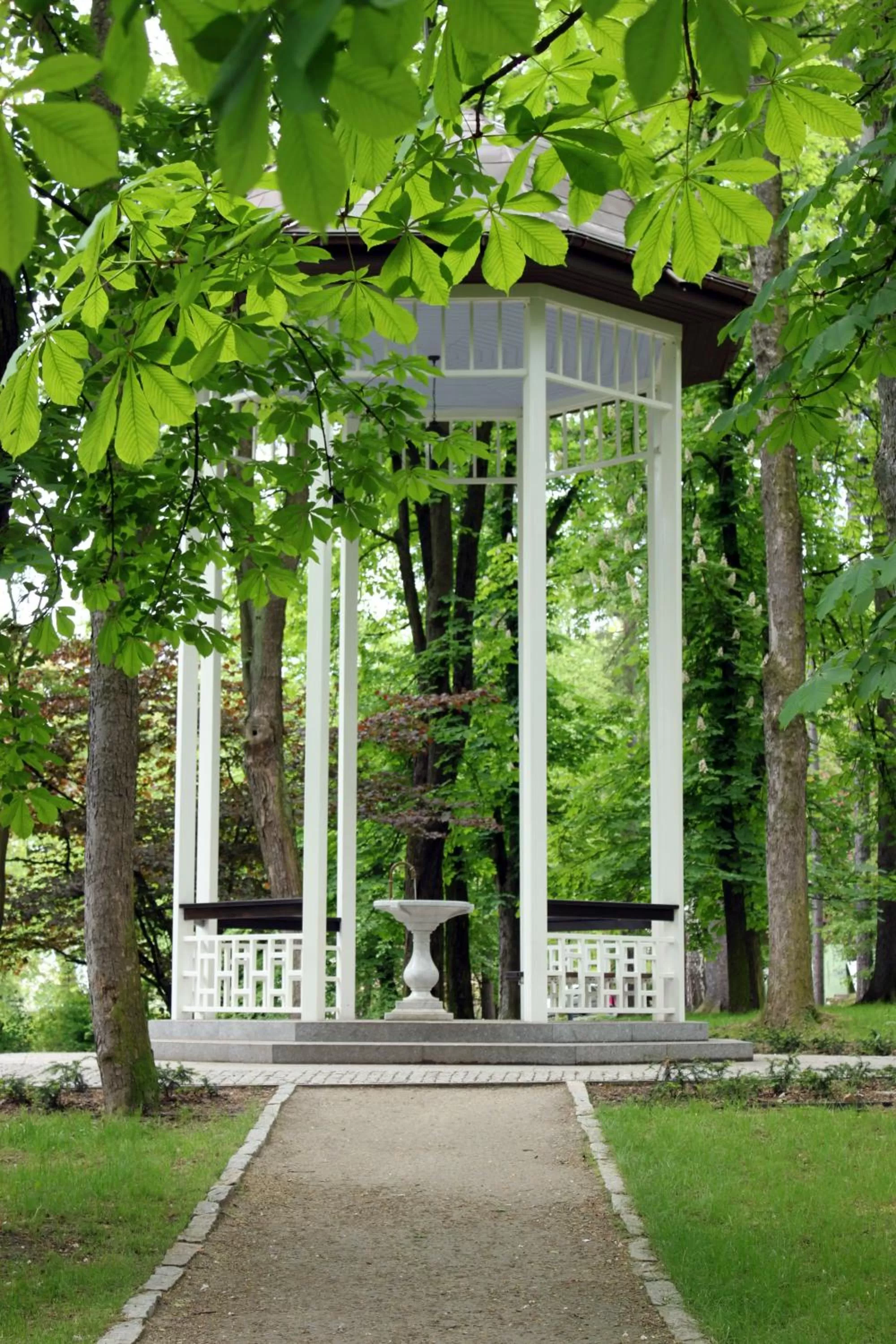 Area and facilities in Hotel Europa