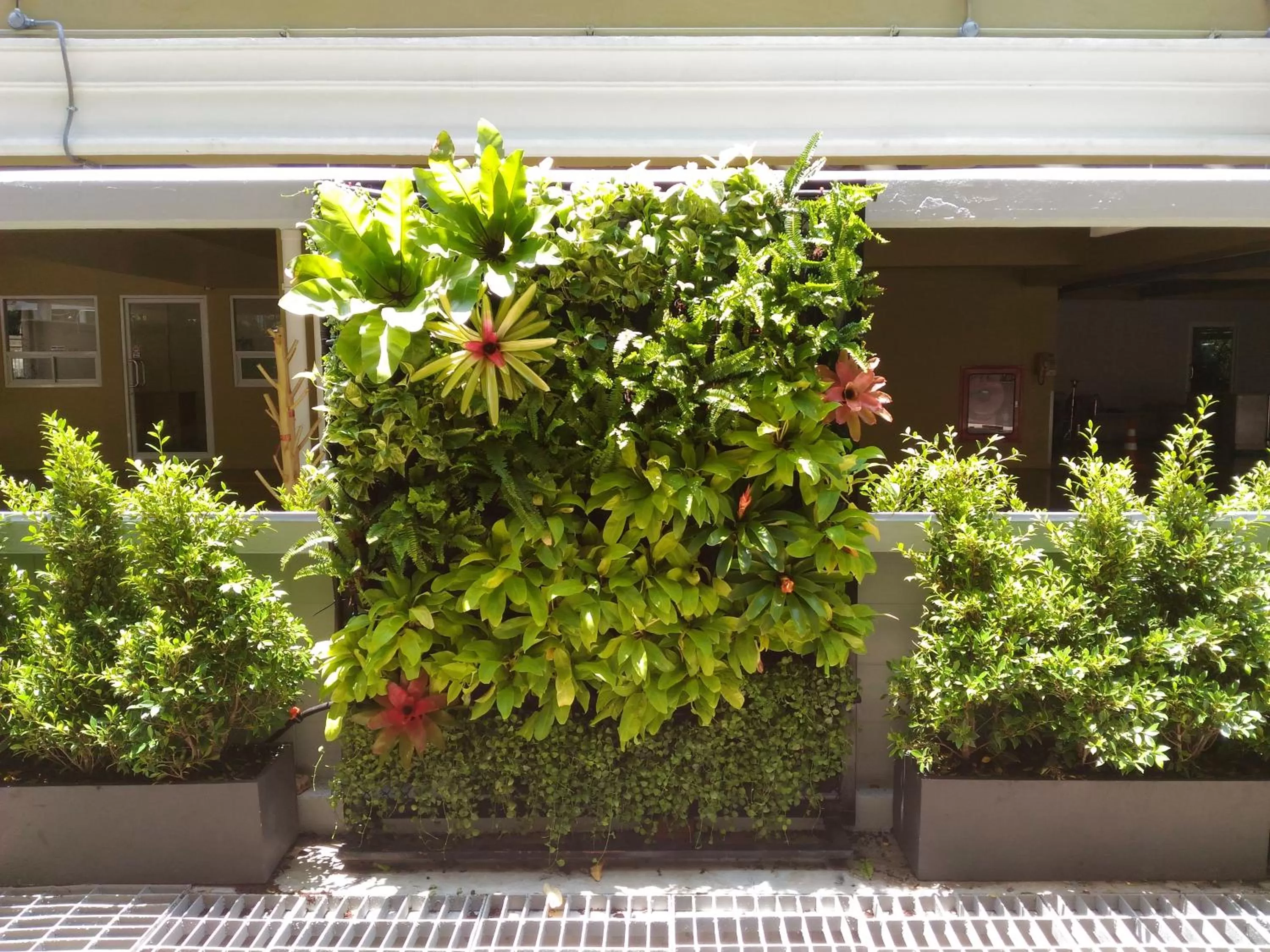 Garden in Le Tada Residence
