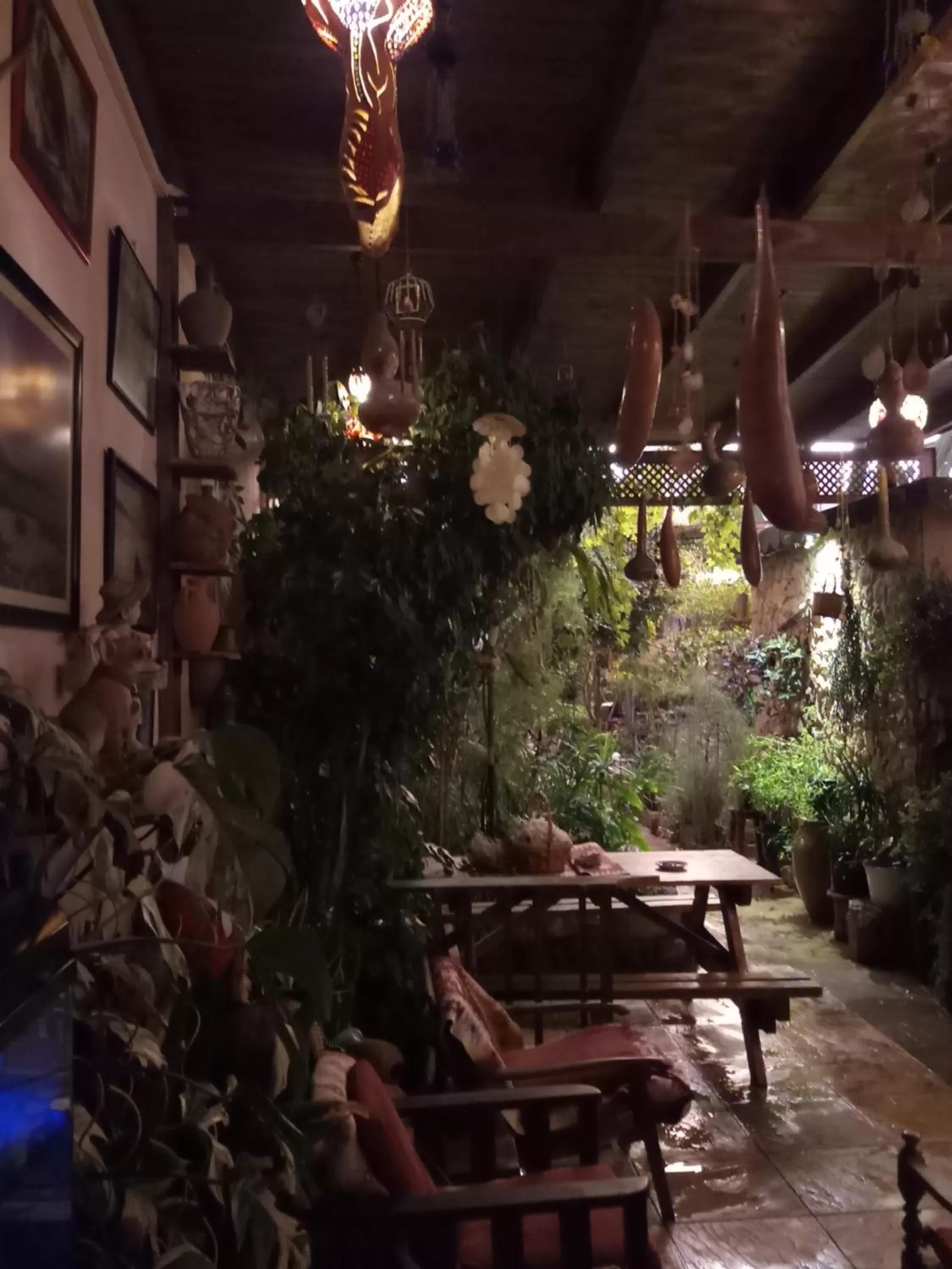 Patio in Mystery Garden Guest House