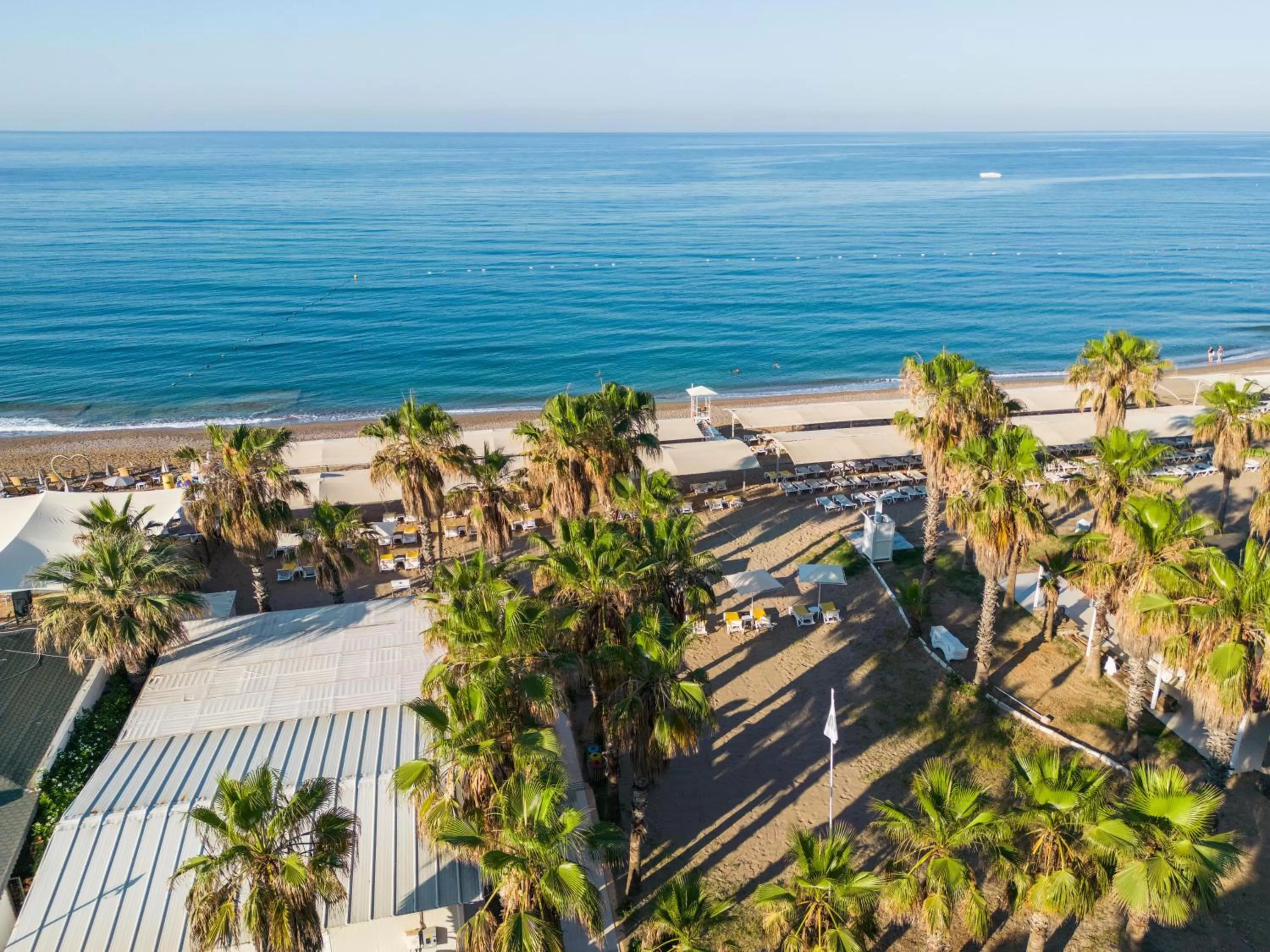 Beach in Asteria Collection Side