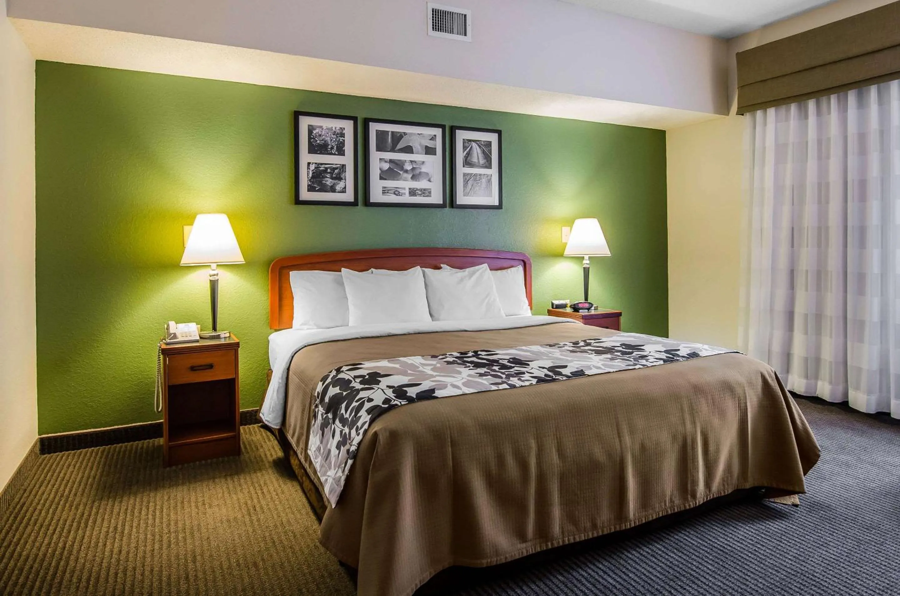 King Room - Accessible/Non-Smoking in Sleep Inn & Suites Danville