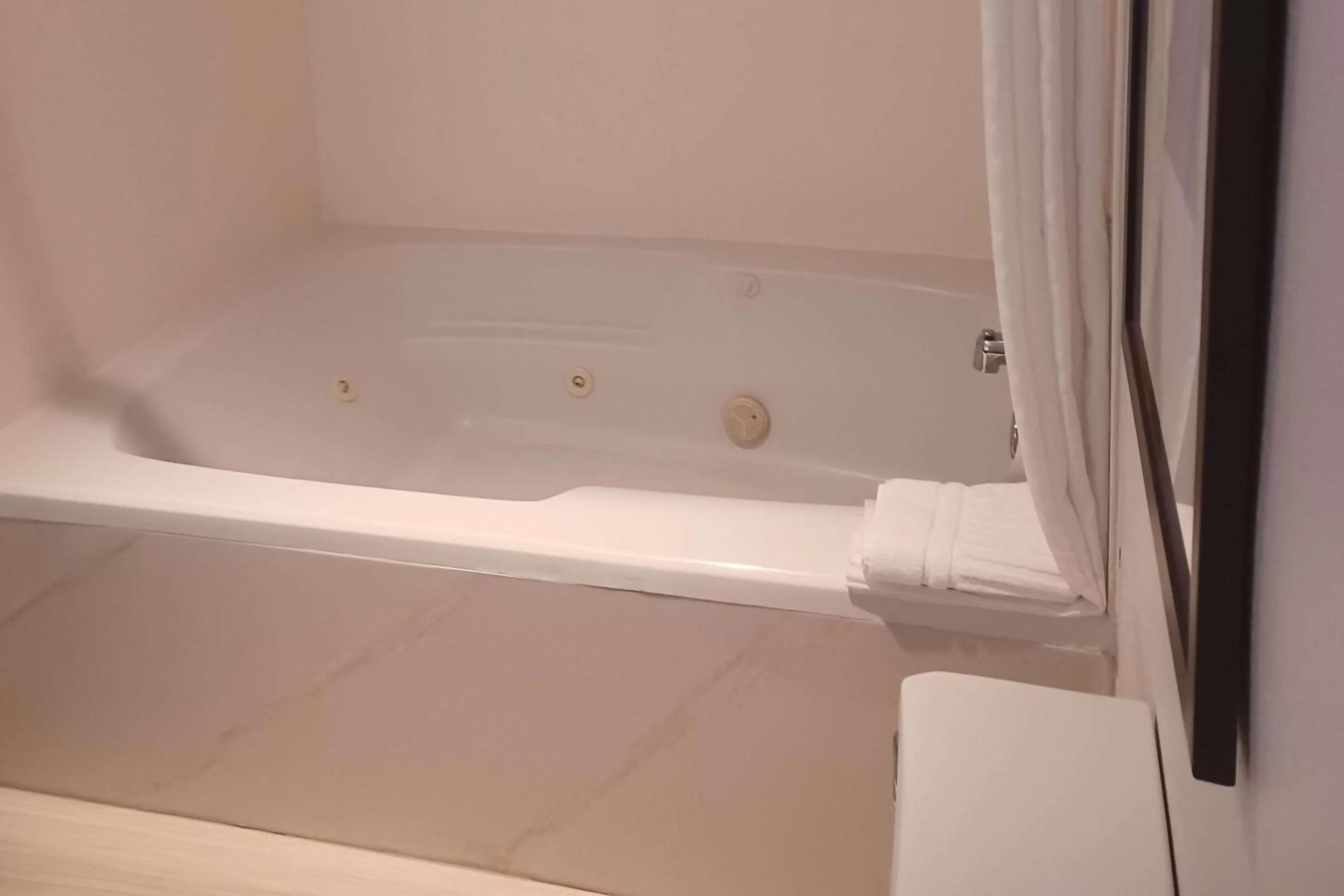 Bathroom in Comfort Inn Edinburgh - Columbus