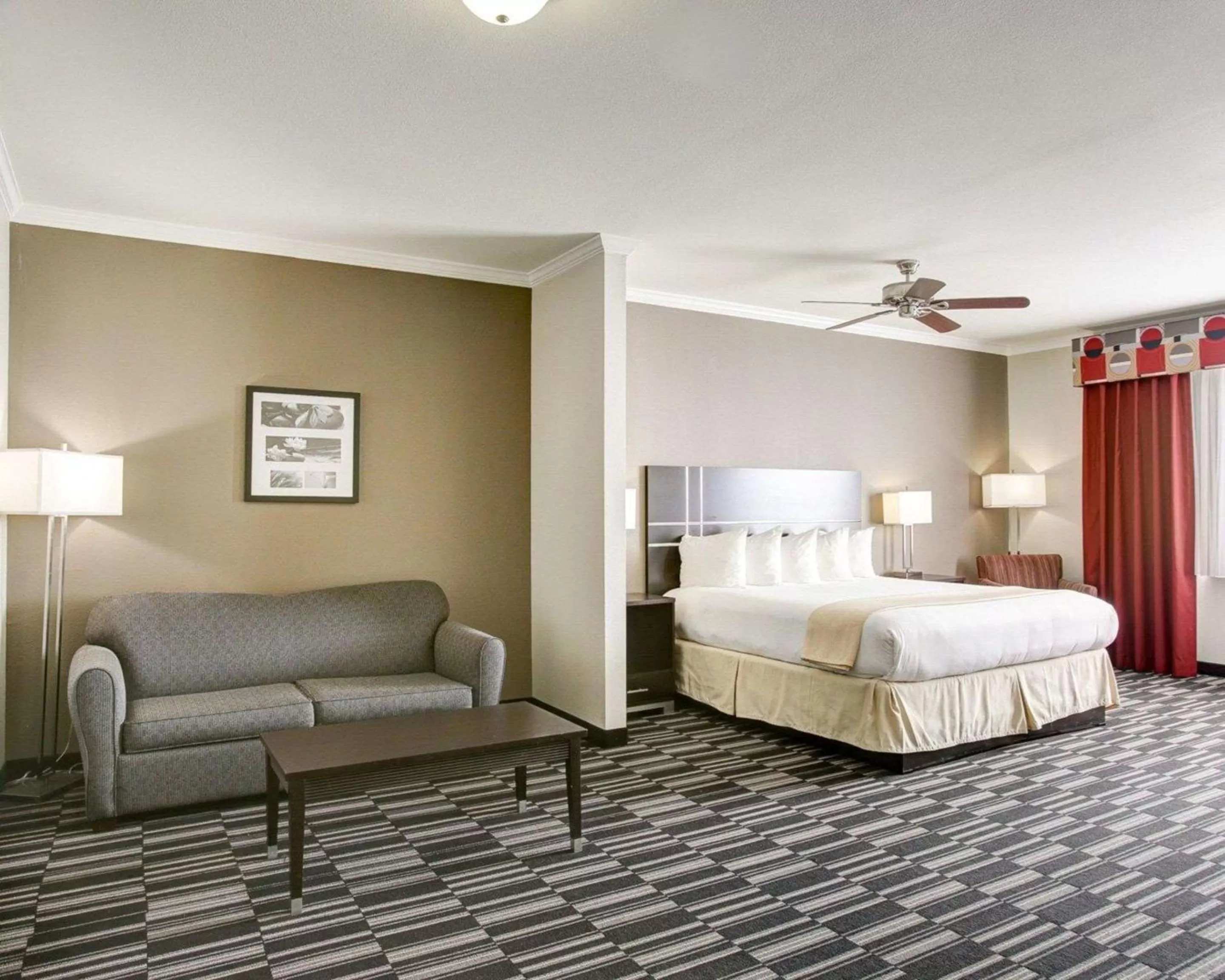 Photo of the whole room, Bed in Quality Inn & Suites Bryan-College Station