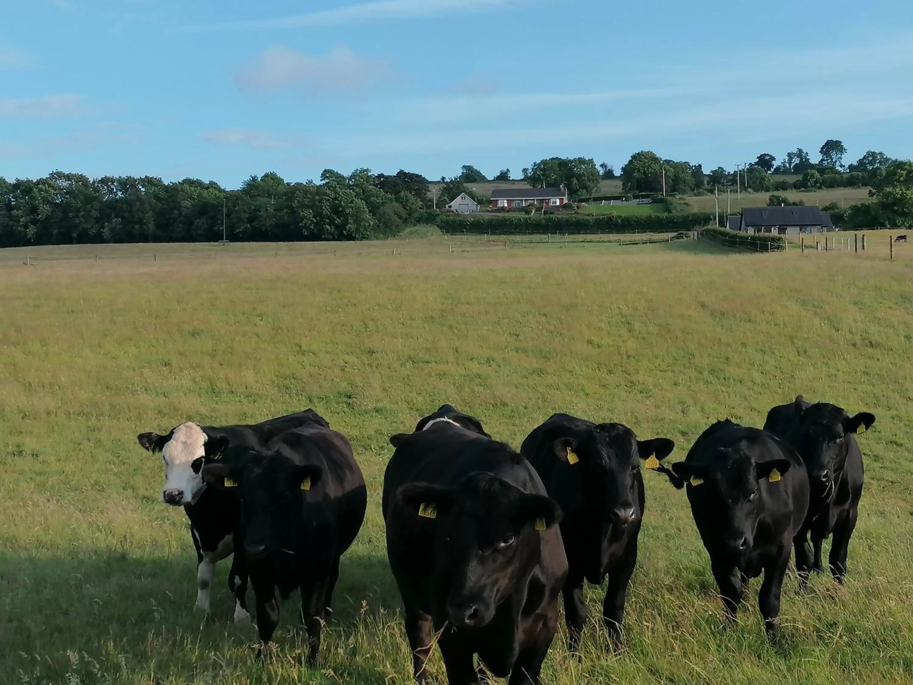 Cable Island Bed and Breakfast