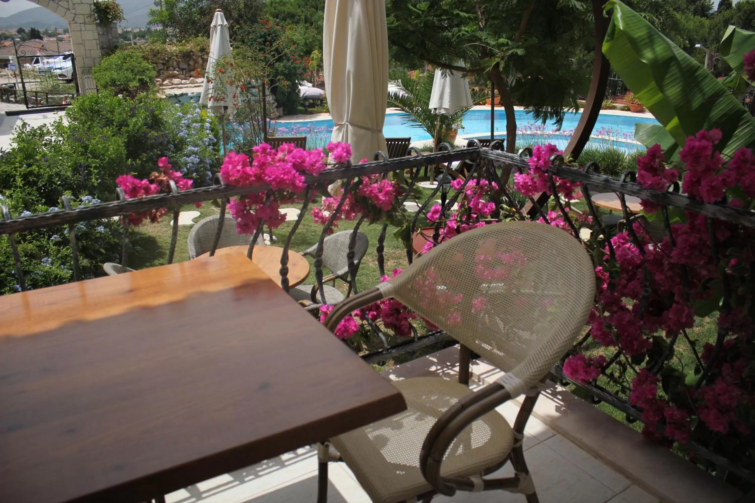 Balcony/Terrace in Dolina Hotel