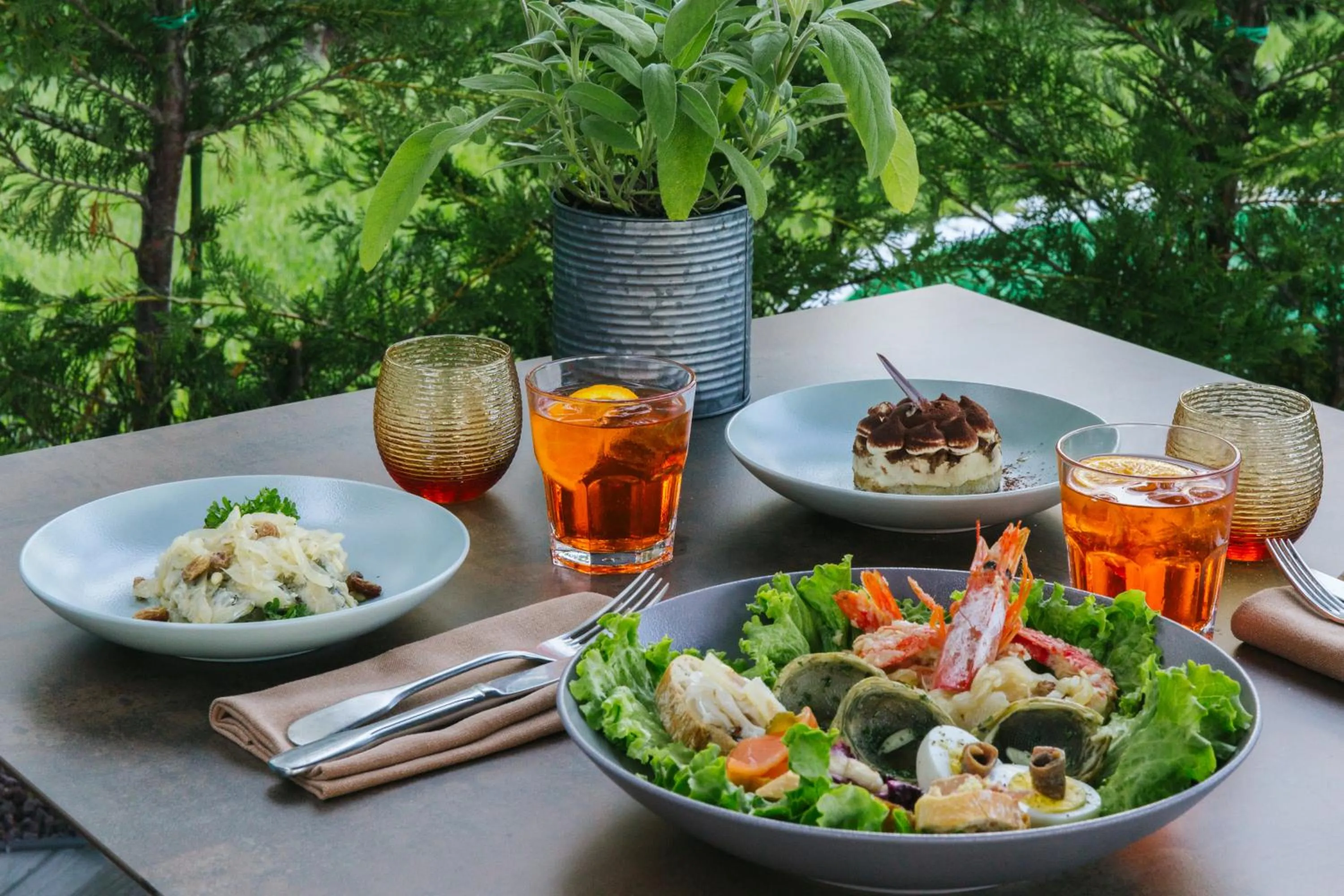 Dinner in Almar Lido Jesolo